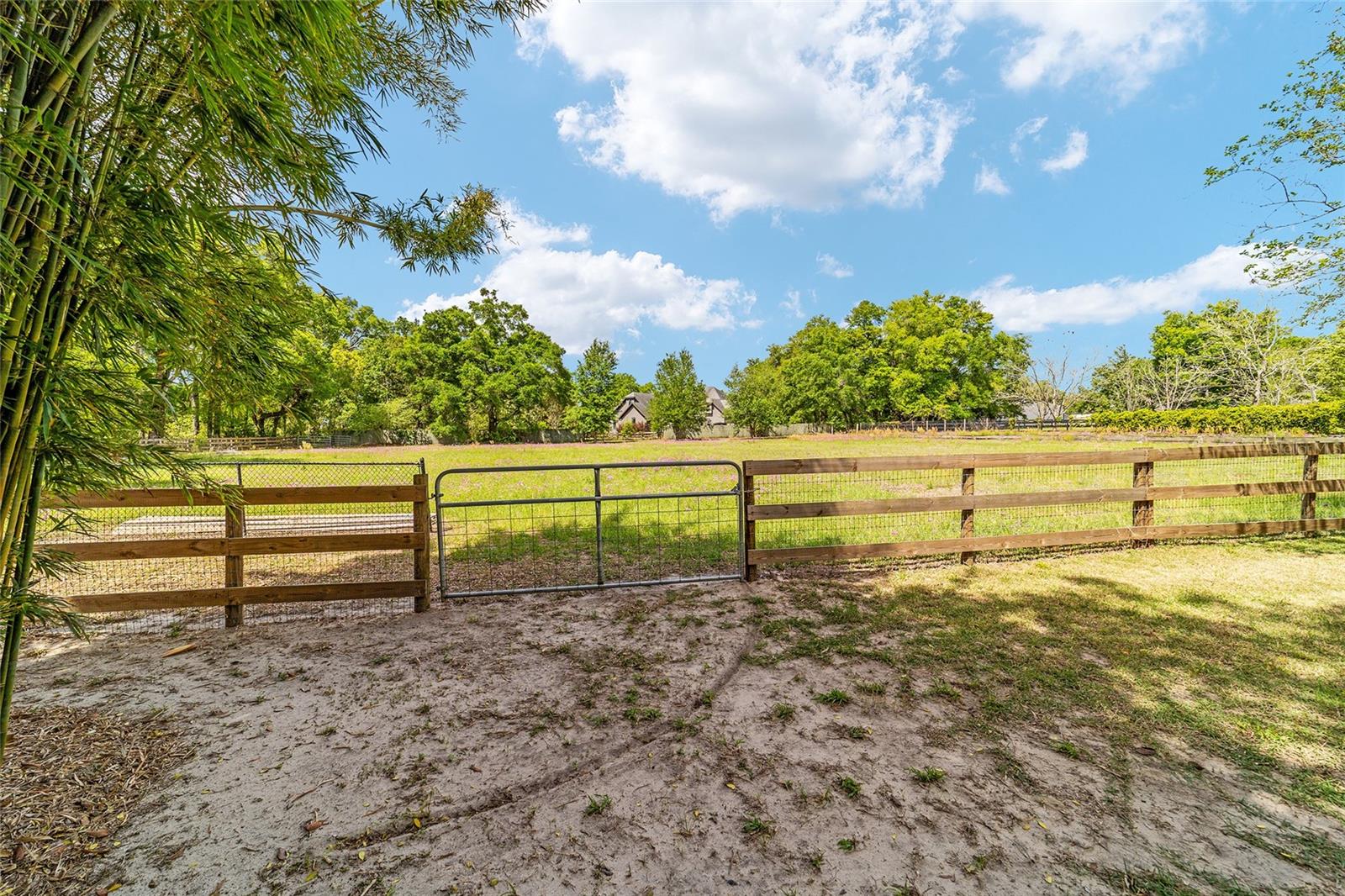 4659 SE 17TH ST, OCALA, FL, 34471