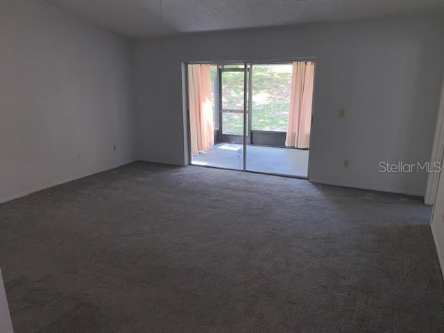 3678 DEHAVEN DR, PALM HARBOR, FL, 34684