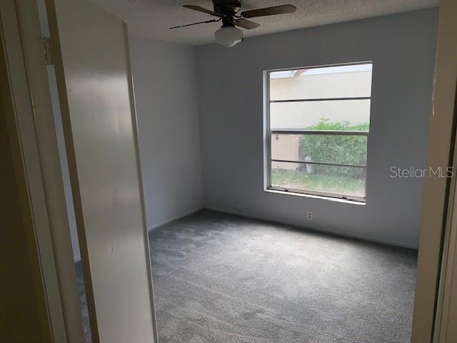 3678 DEHAVEN DR, PALM HARBOR, FL, 34684