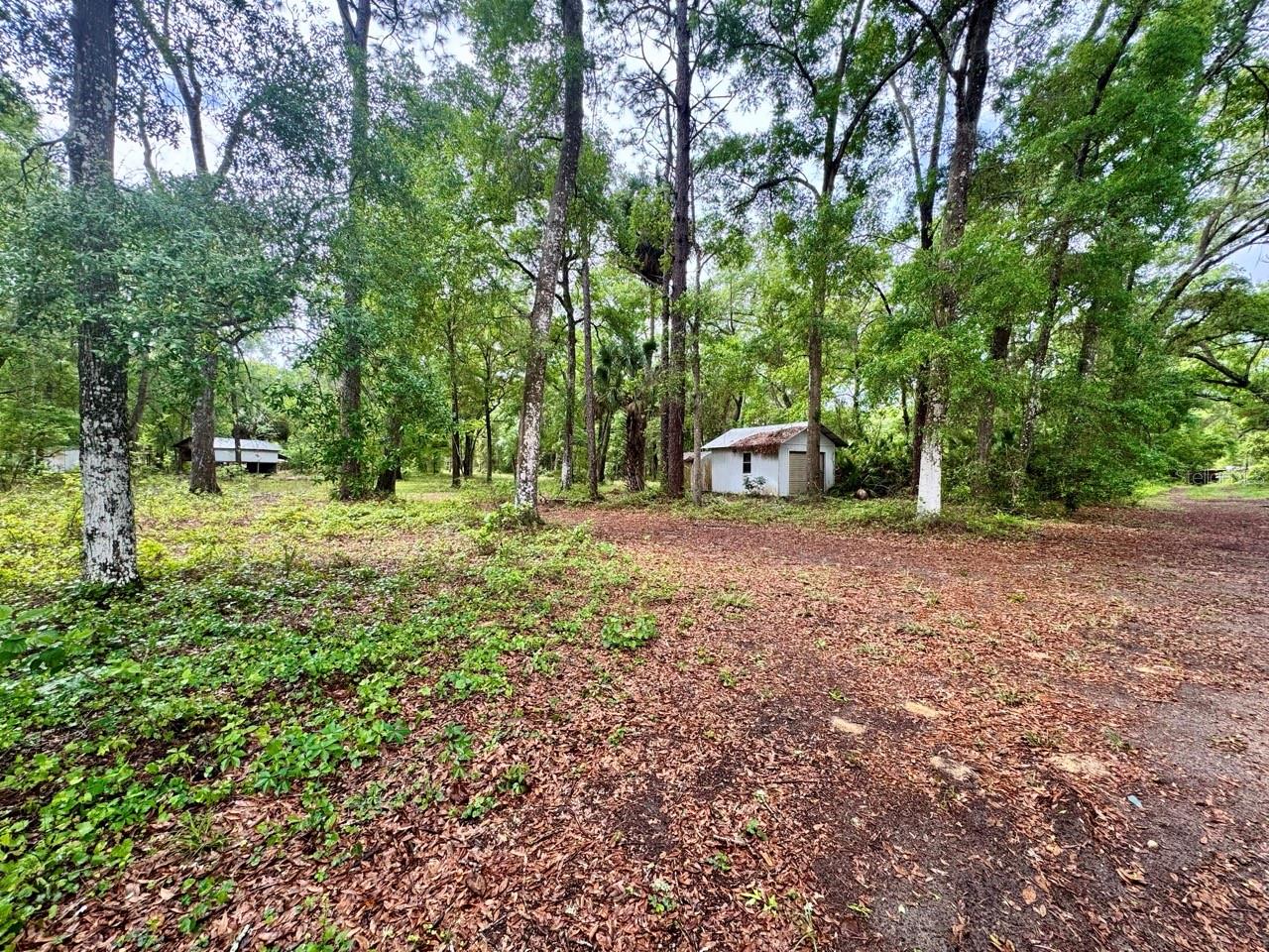 23714 NE 119TH PL, SALT SPRINGS, FL, 32134