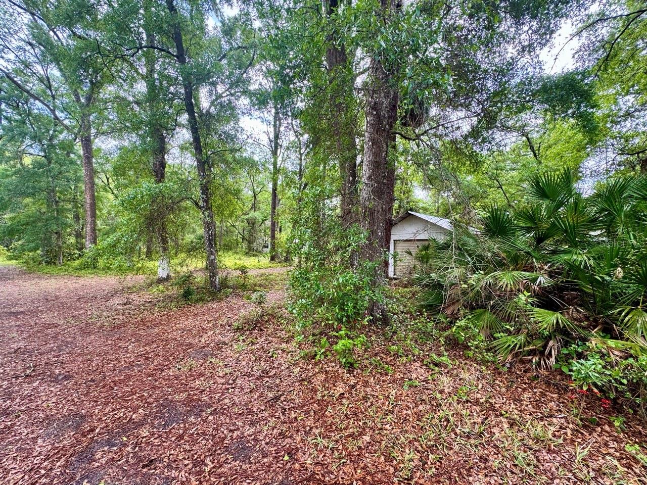 23714 NE 119TH PL, SALT SPRINGS, FL, 32134