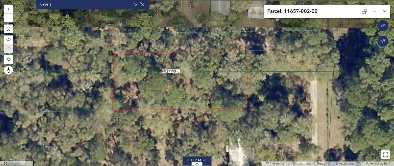 23714 NE 119TH PL, SALT SPRINGS, FL, 32134
