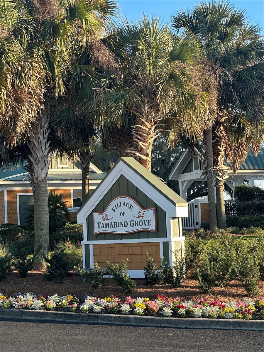 2427 TAMARIND GROVE RUN, THE VILLAGES, FL, 32162