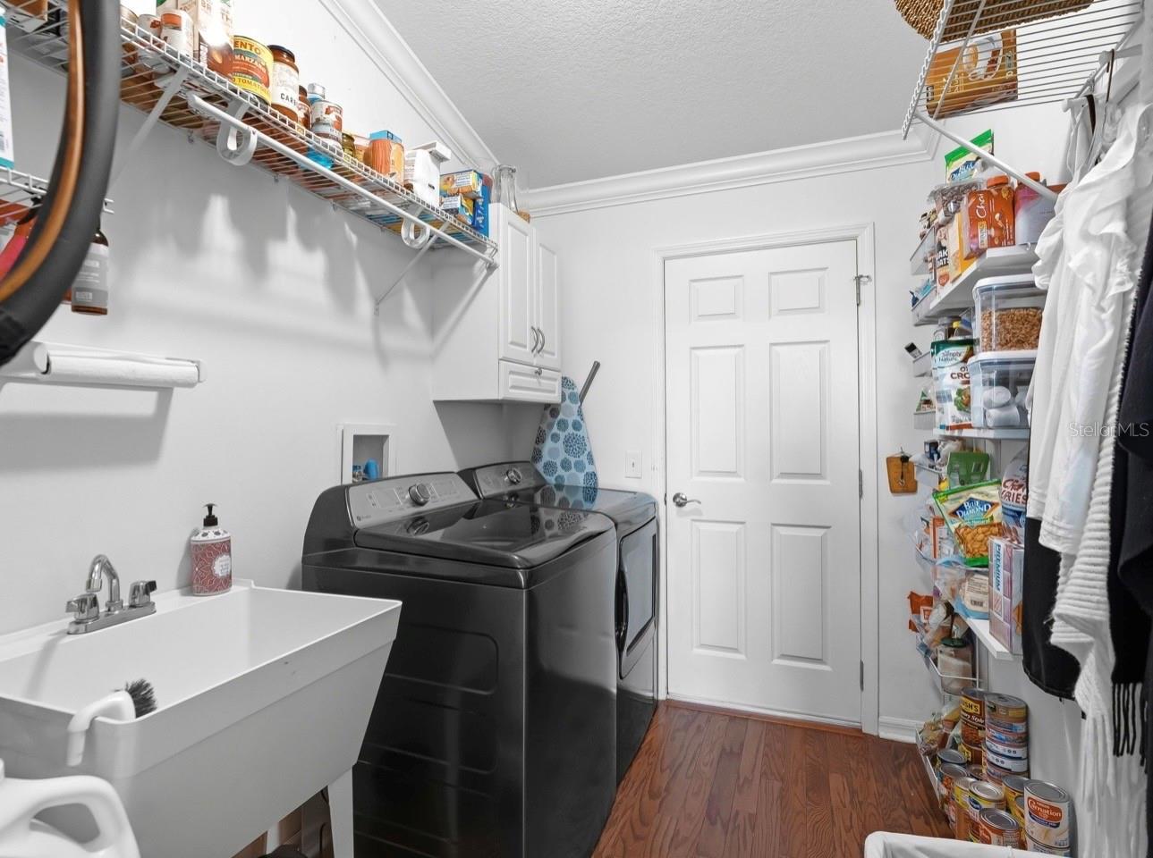 2427 TAMARIND GROVE RUN, THE VILLAGES, FL, 32162