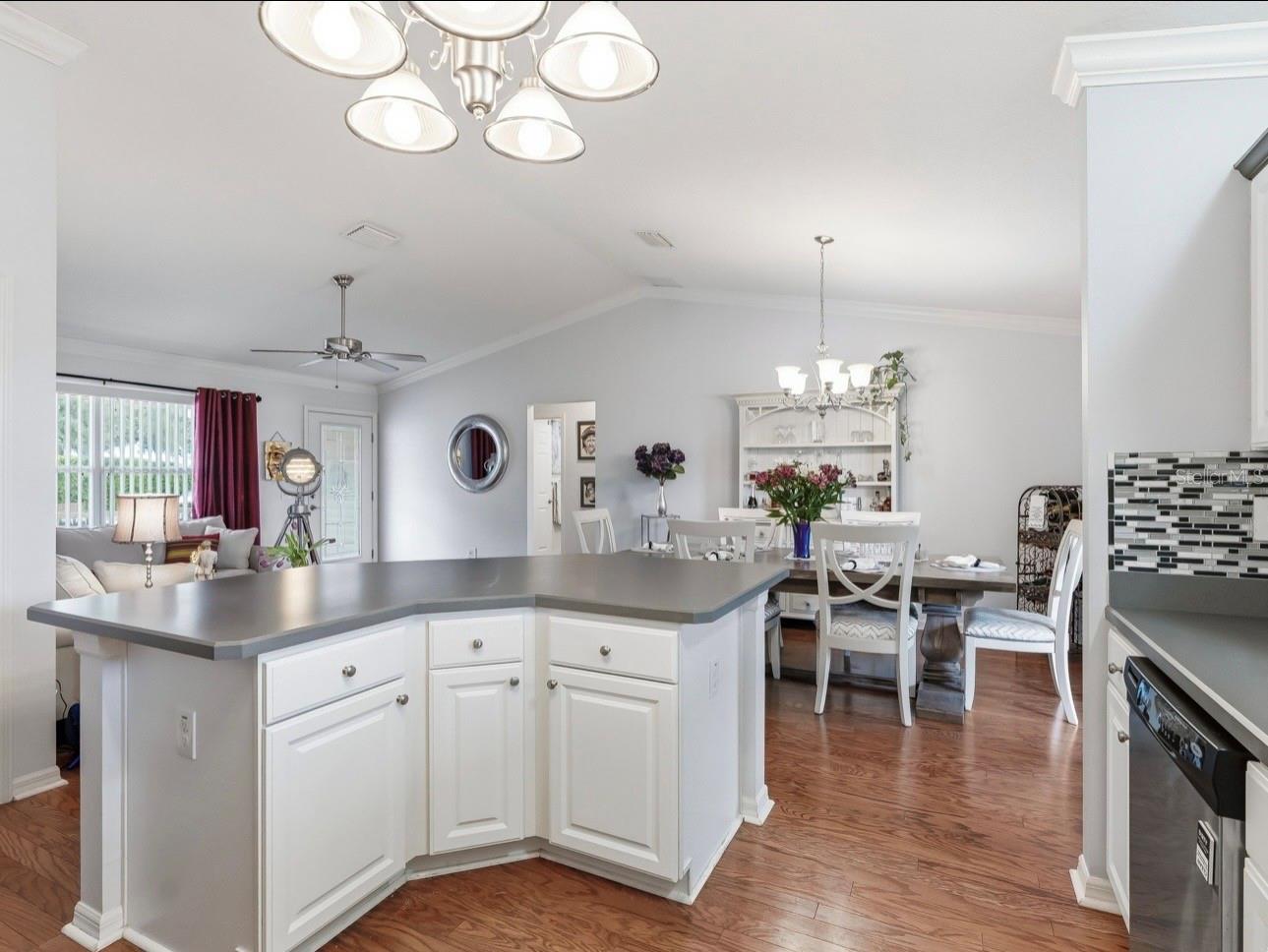 2427 TAMARIND GROVE RUN, THE VILLAGES, FL, 32162