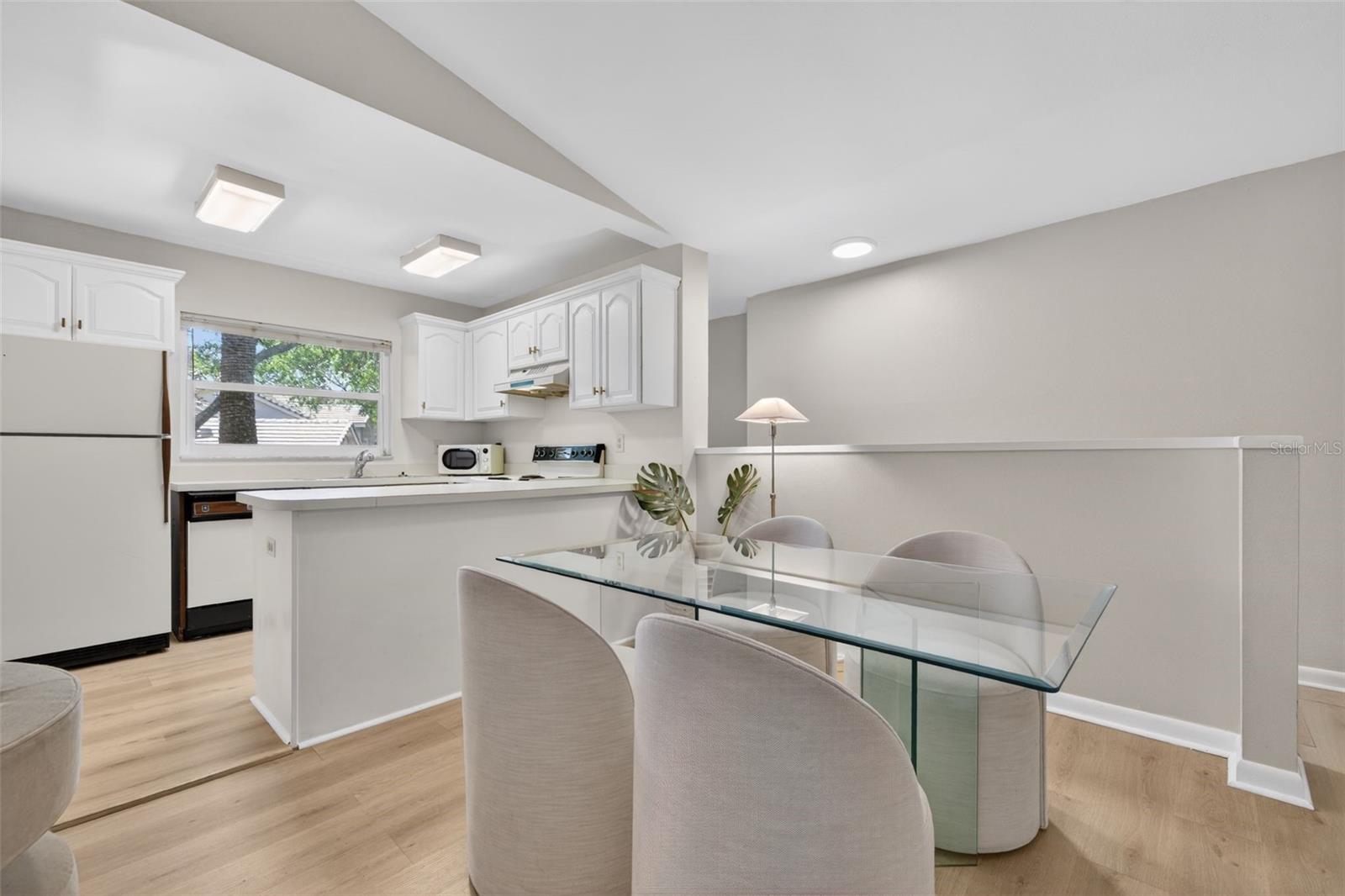 492 SANTA CRUZ PL NE #E, ST PETERSBURG, FL, 33703