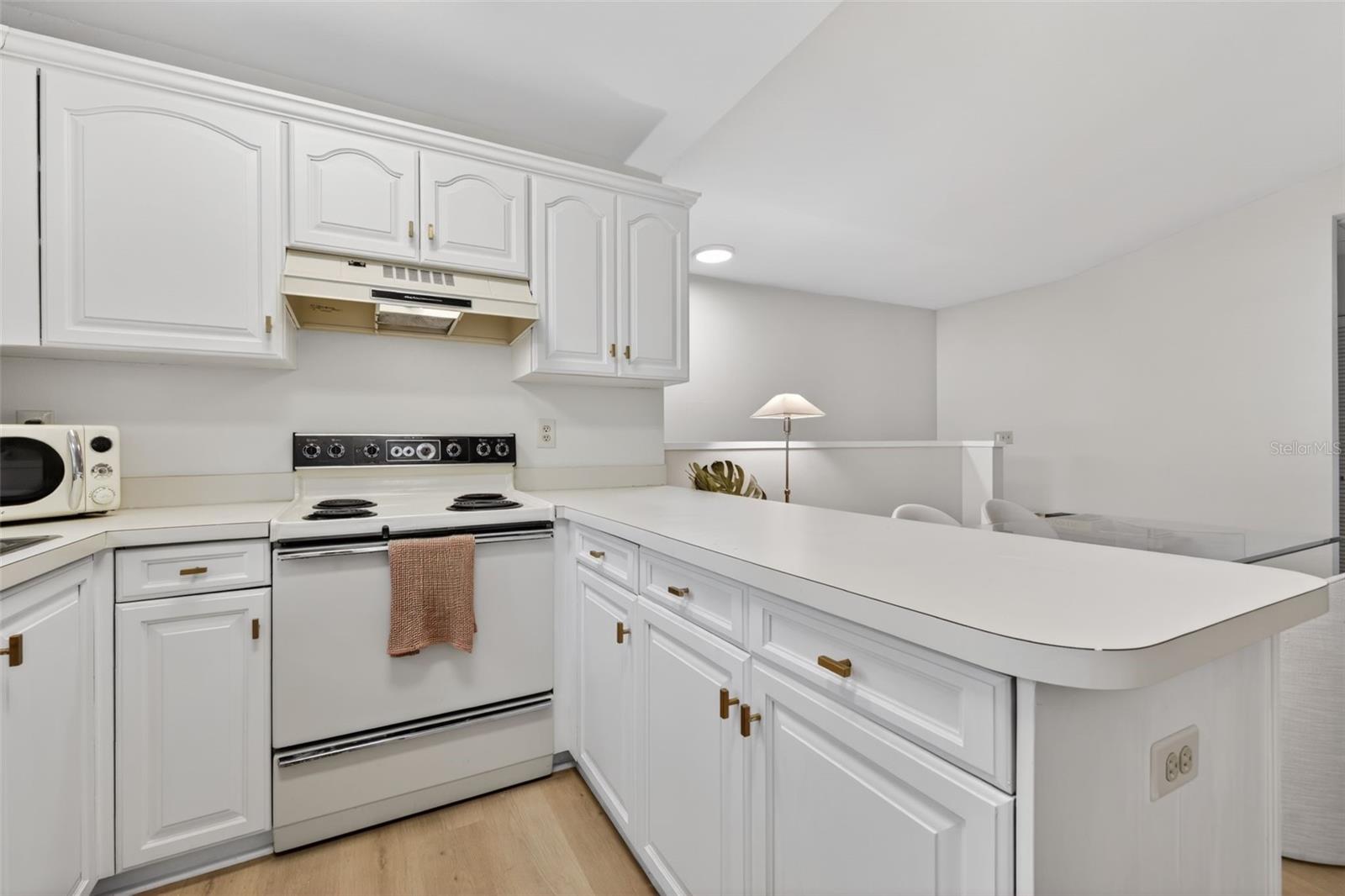 492 SANTA CRUZ PL NE #E, ST PETERSBURG, FL, 33703