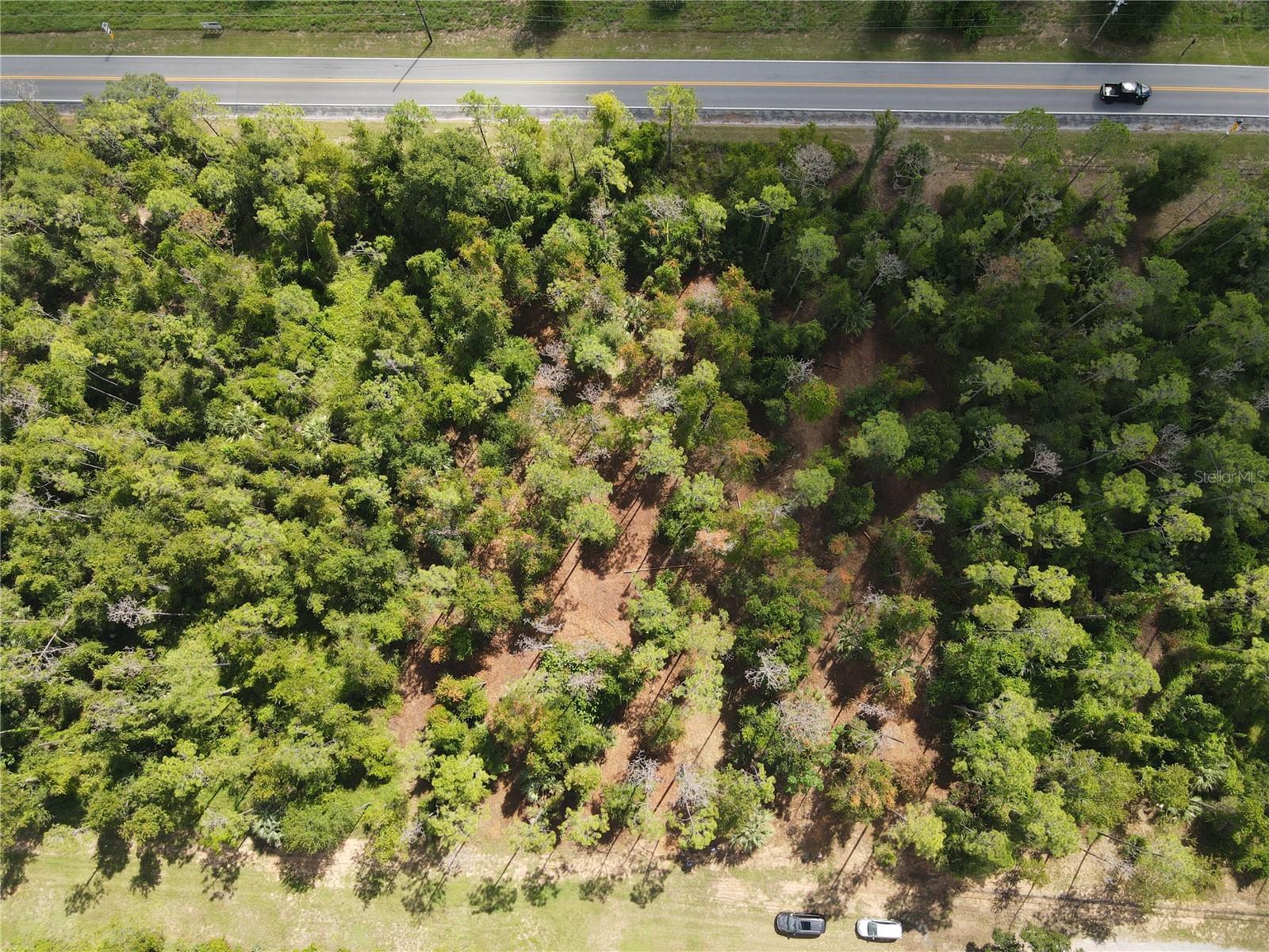 EIGHTH ST, MONTVERDE, FL, 34756