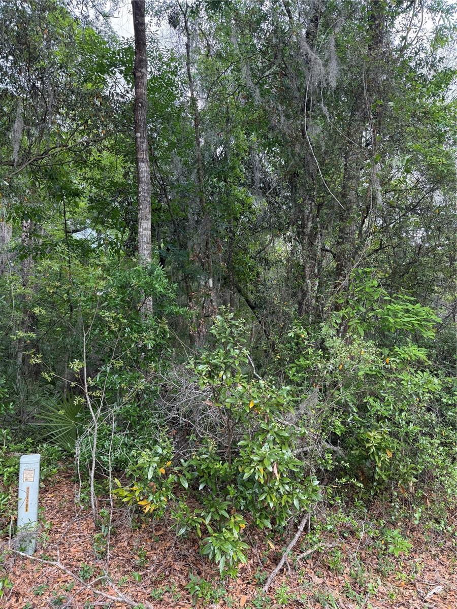 TBD LARCH CRSE, OCALA, FL, 34480