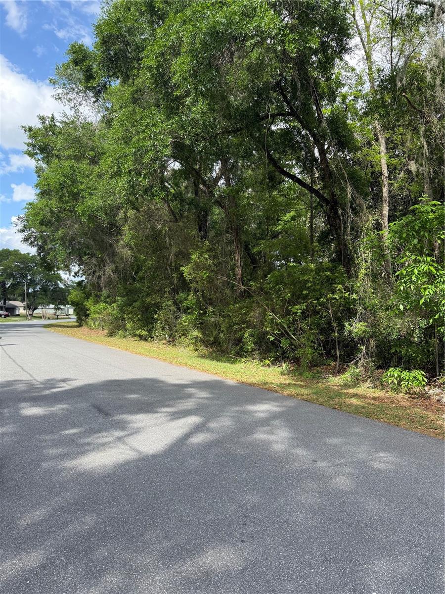 TBD LARCH CRSE, OCALA, FL, 34480