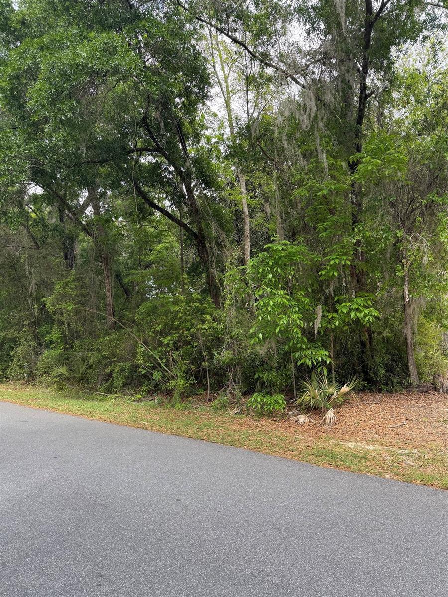 TBD LARCH CRSE, OCALA, FL, 34480