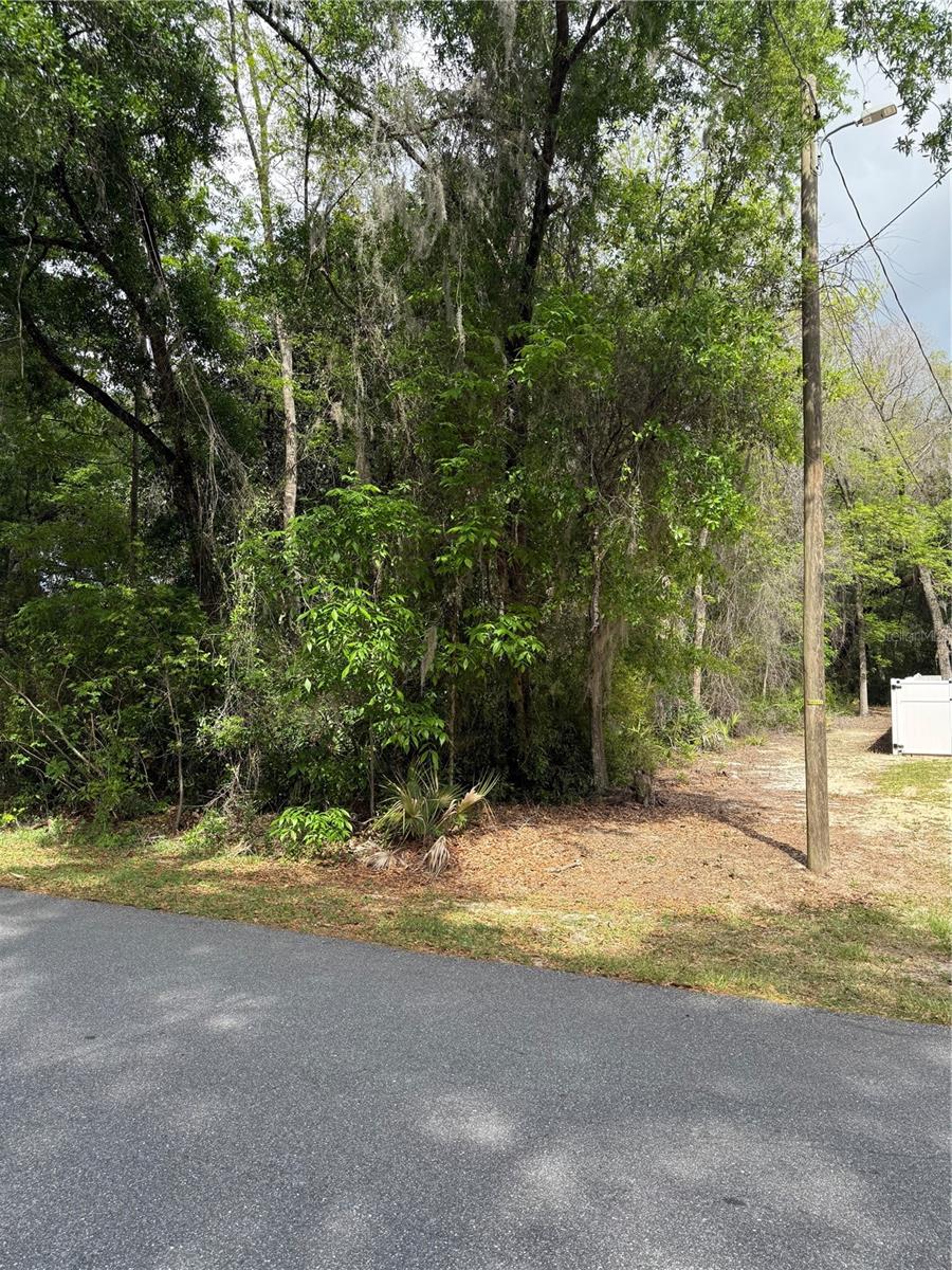 TBD LARCH CRSE, OCALA, FL, 34480