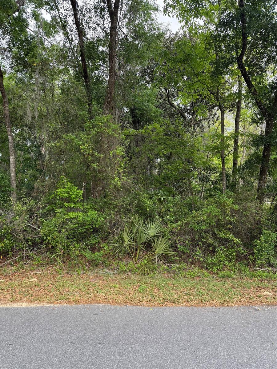 TBD LARCH CRSE, OCALA, FL, 34480
