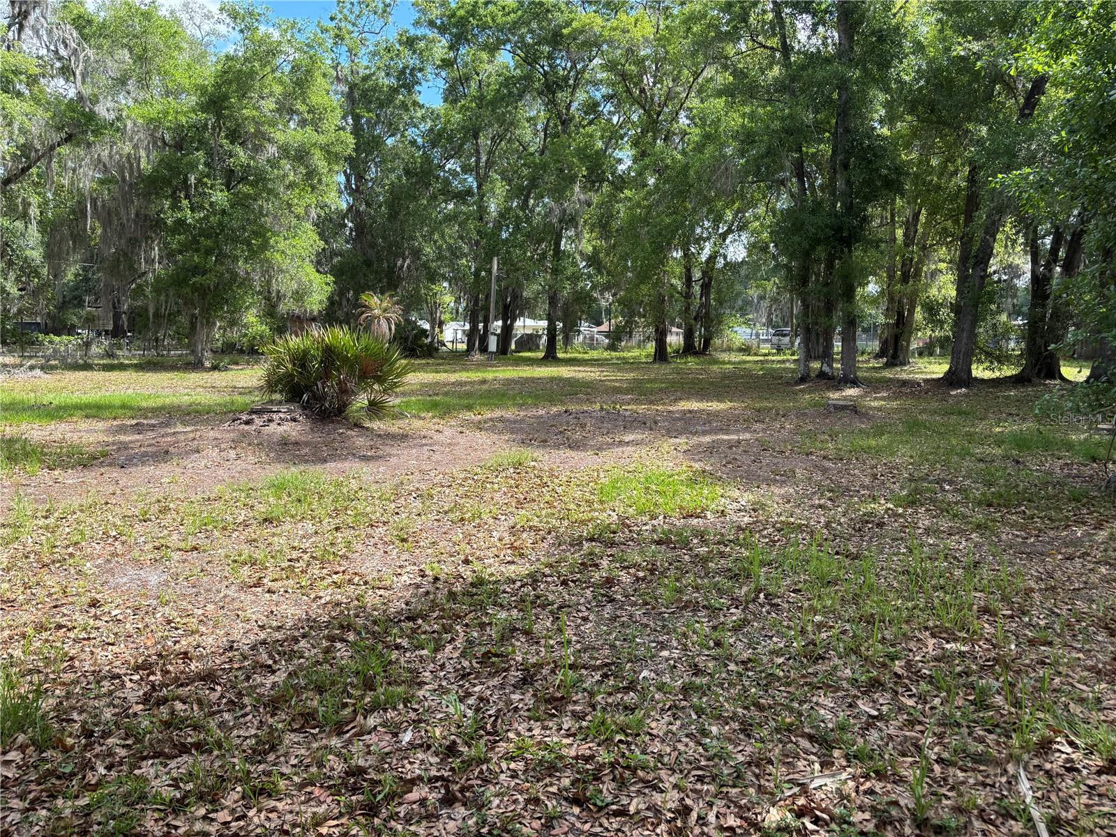 1445 CARTER ST, AUBURNDALE, FL, 33823