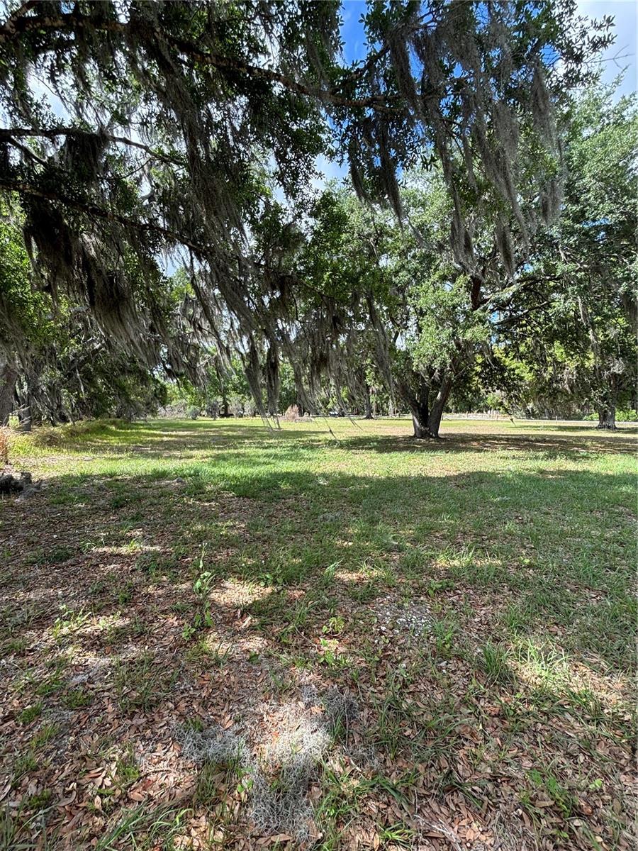 1445 CARTER ST, AUBURNDALE, FL, 33823