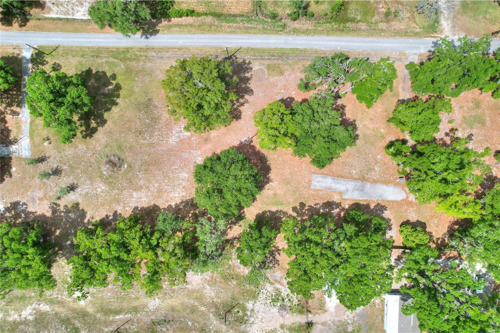 1445 CARTER ST, AUBURNDALE, FL, 33823