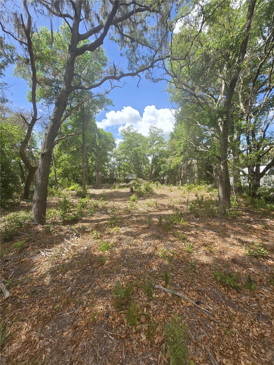 8140 WALT WILLIAMS RD, LAKELAND, FL, 33809