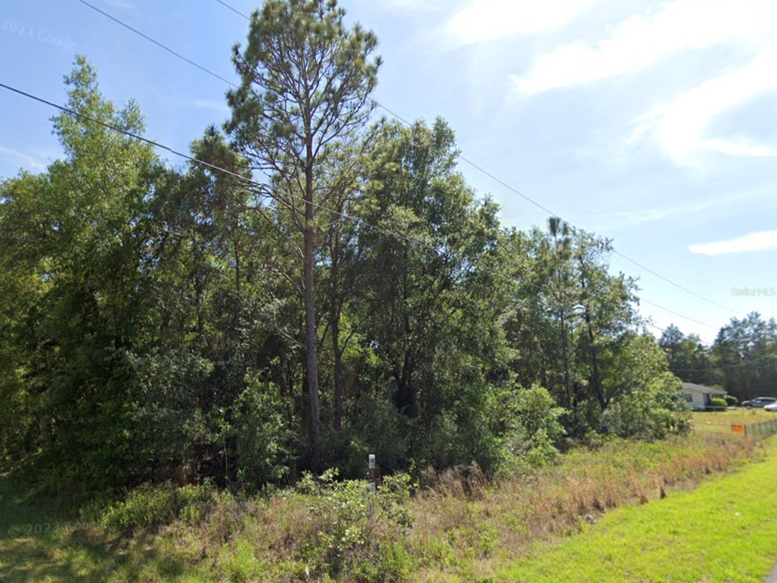TBD SW BEACH BLVD, DUNNELLON, FL, 34431