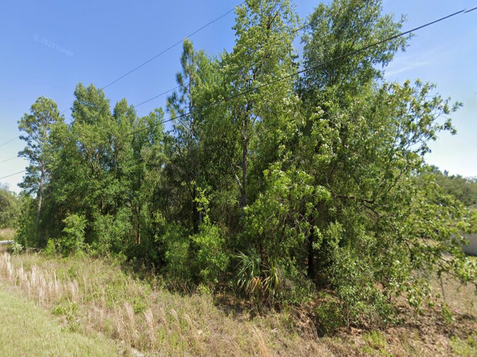 TBD SW BEACH BLVD, DUNNELLON, FL, 34431