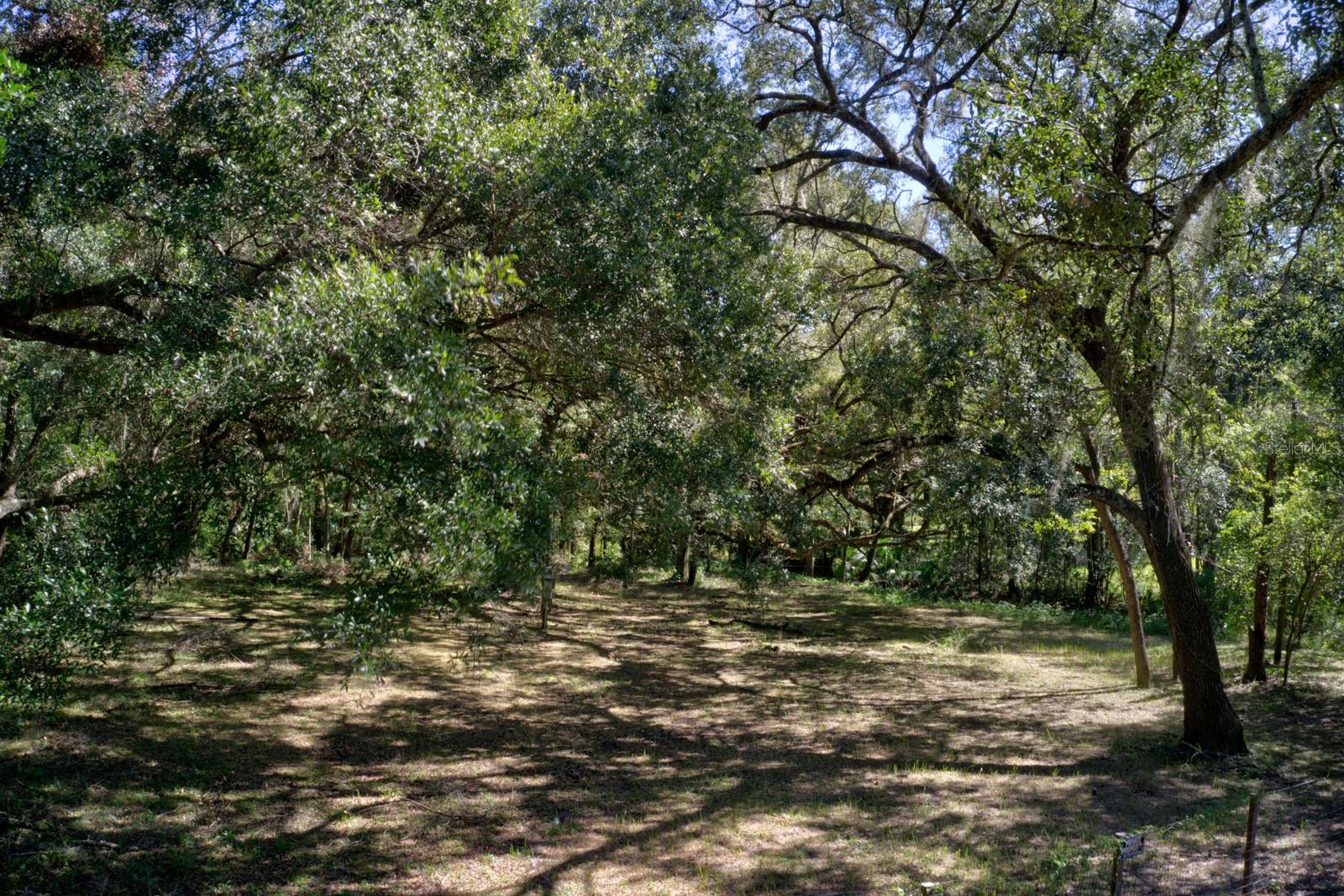 5005 SW 63RD BLVD, GAINESVILLE, FL, 32608