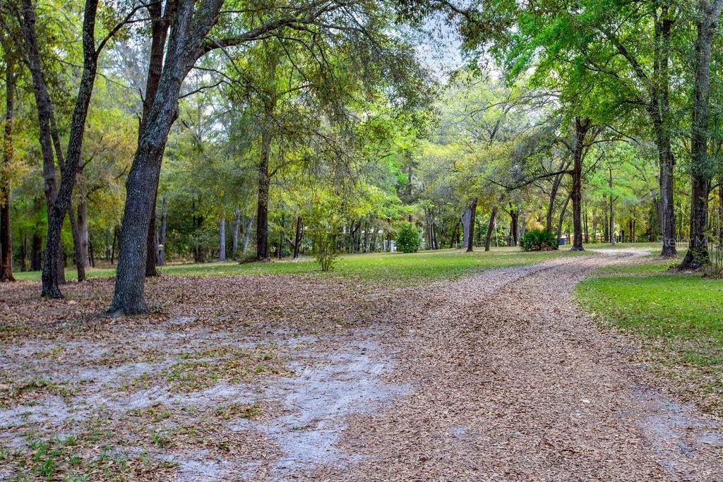 2099 NE 83RD TER, HIGH SPRINGS, FL, 32643