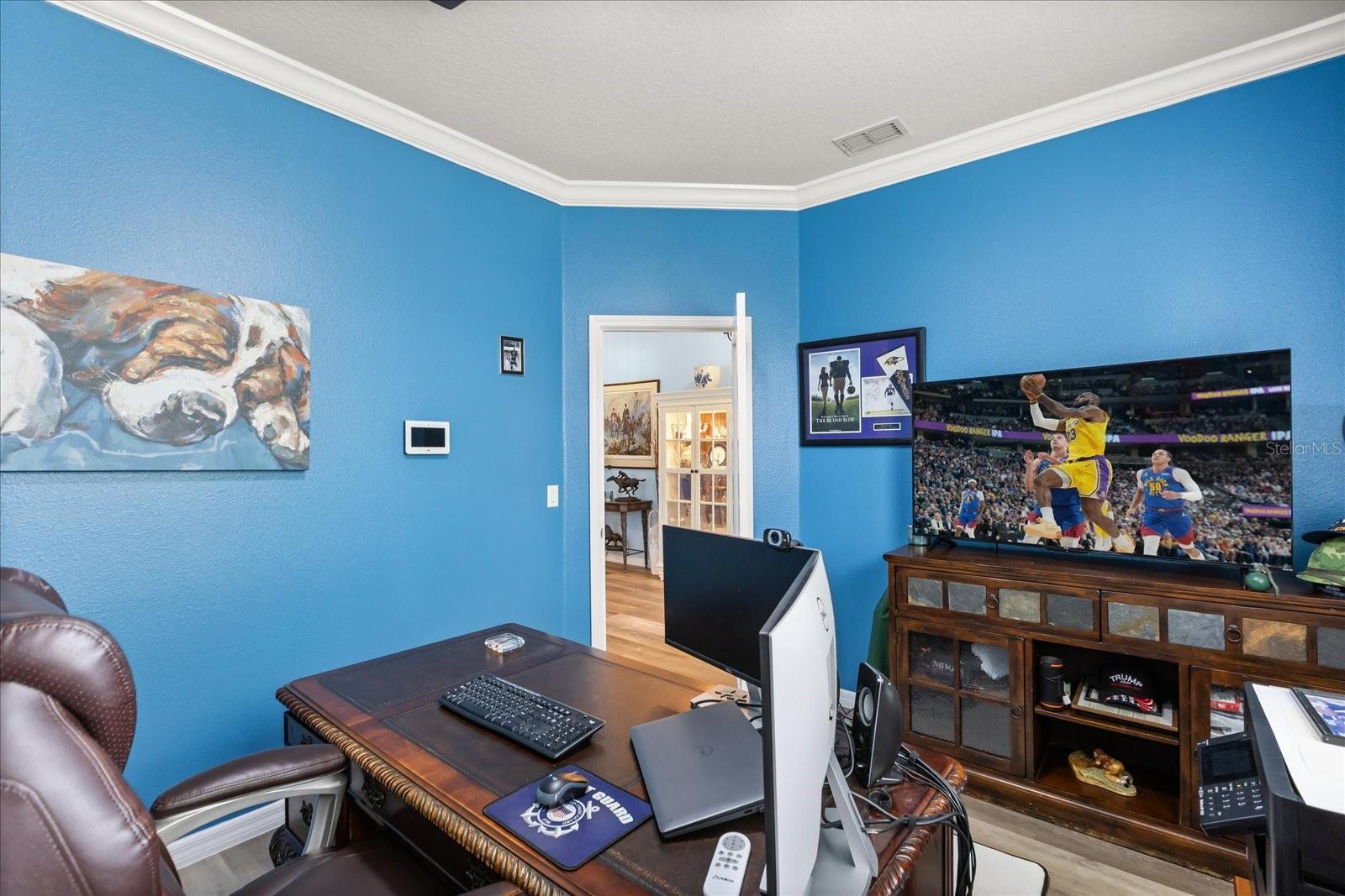 30231 HACKNEY LOOP, MOUNT DORA, FL, 32757