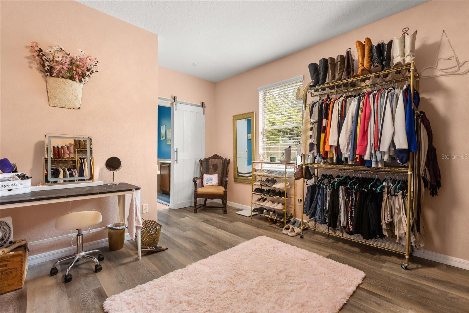30231 HACKNEY LOOP, MOUNT DORA, FL, 32757