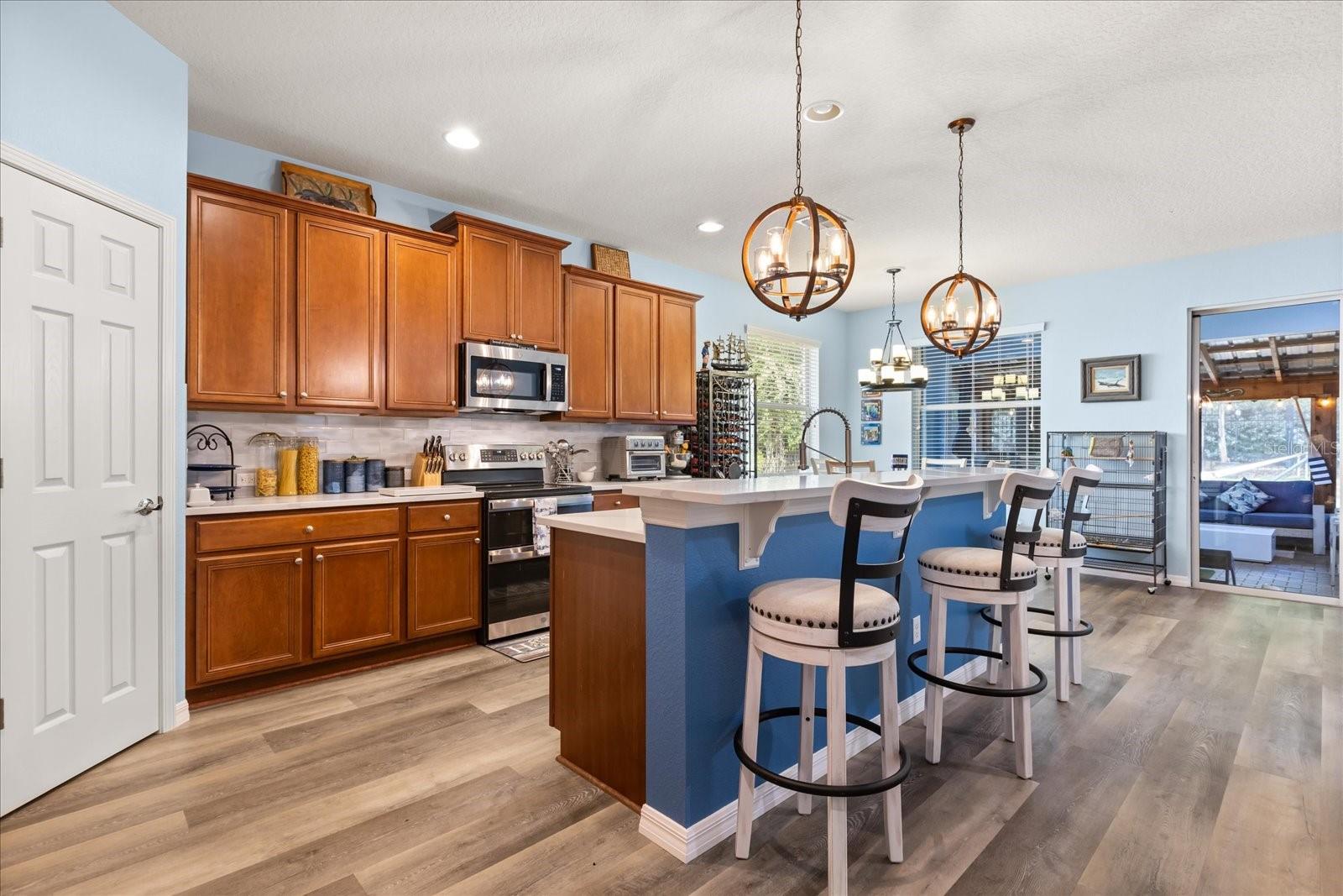 30231 HACKNEY LOOP, MOUNT DORA, FL, 32757