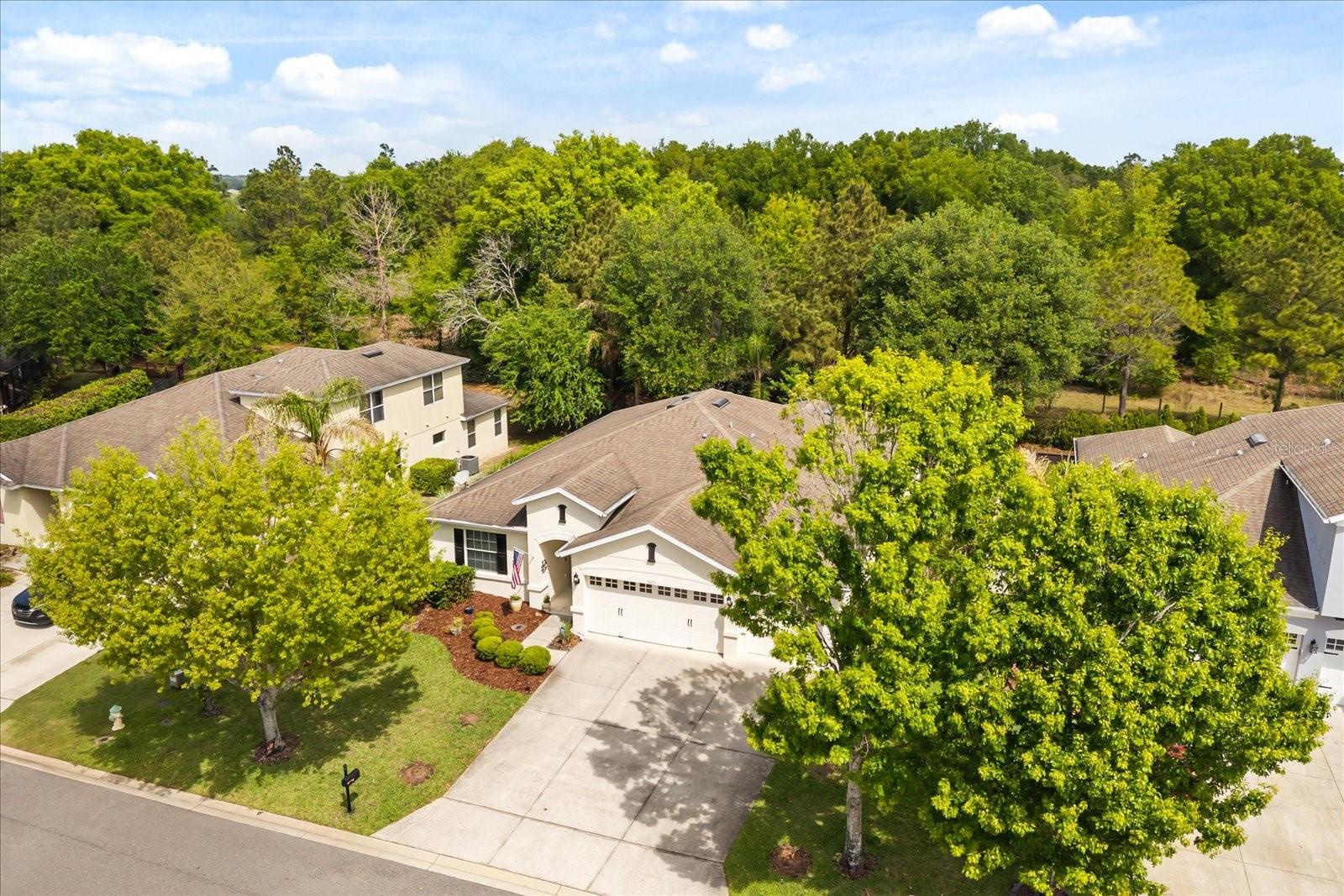 30231 HACKNEY LOOP, MOUNT DORA, FL, 32757