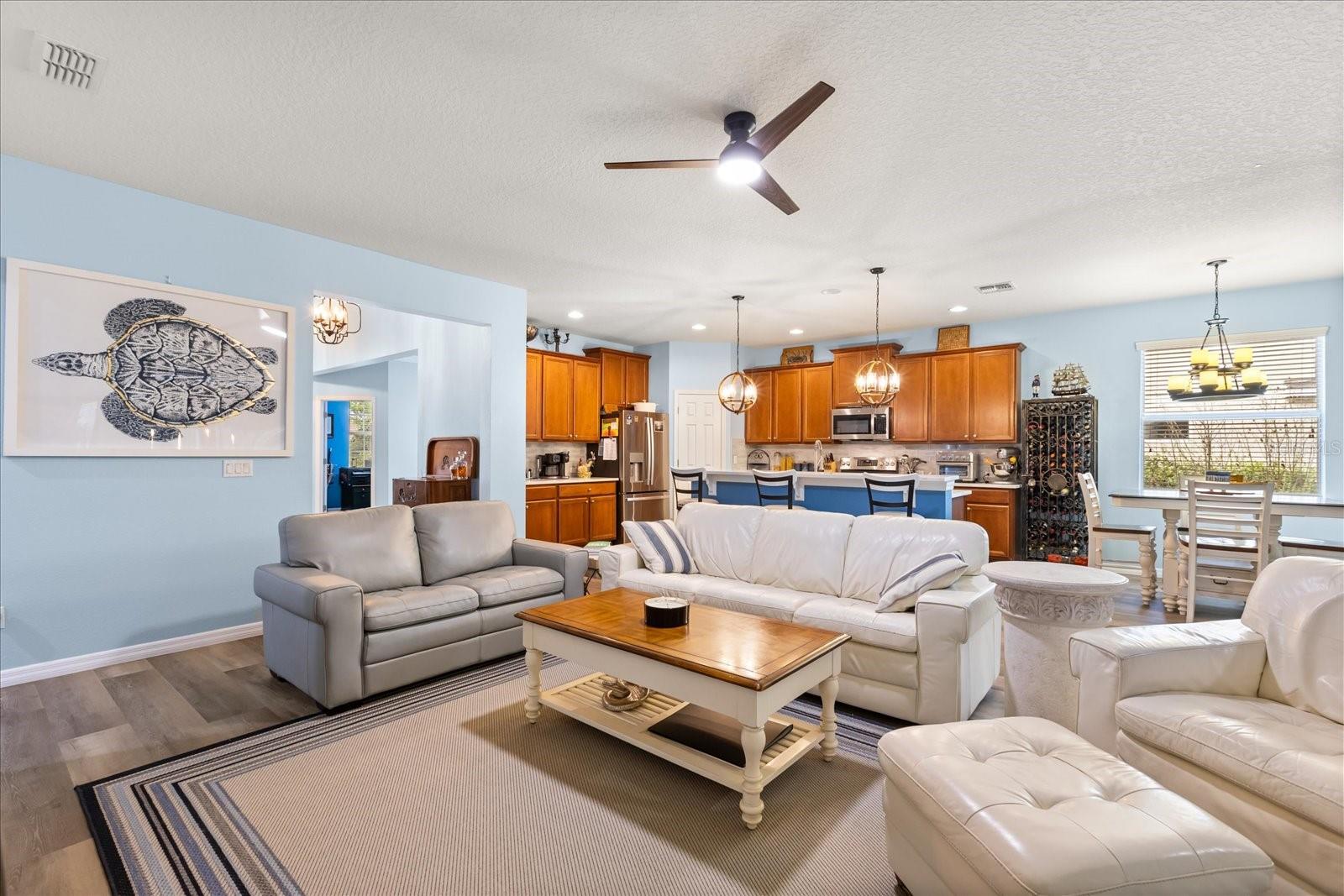 30231 HACKNEY LOOP, MOUNT DORA, FL, 32757