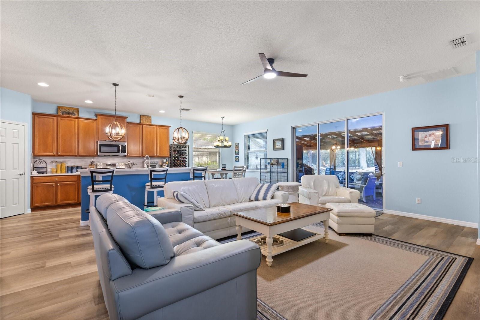 30231 HACKNEY LOOP, MOUNT DORA, FL, 32757