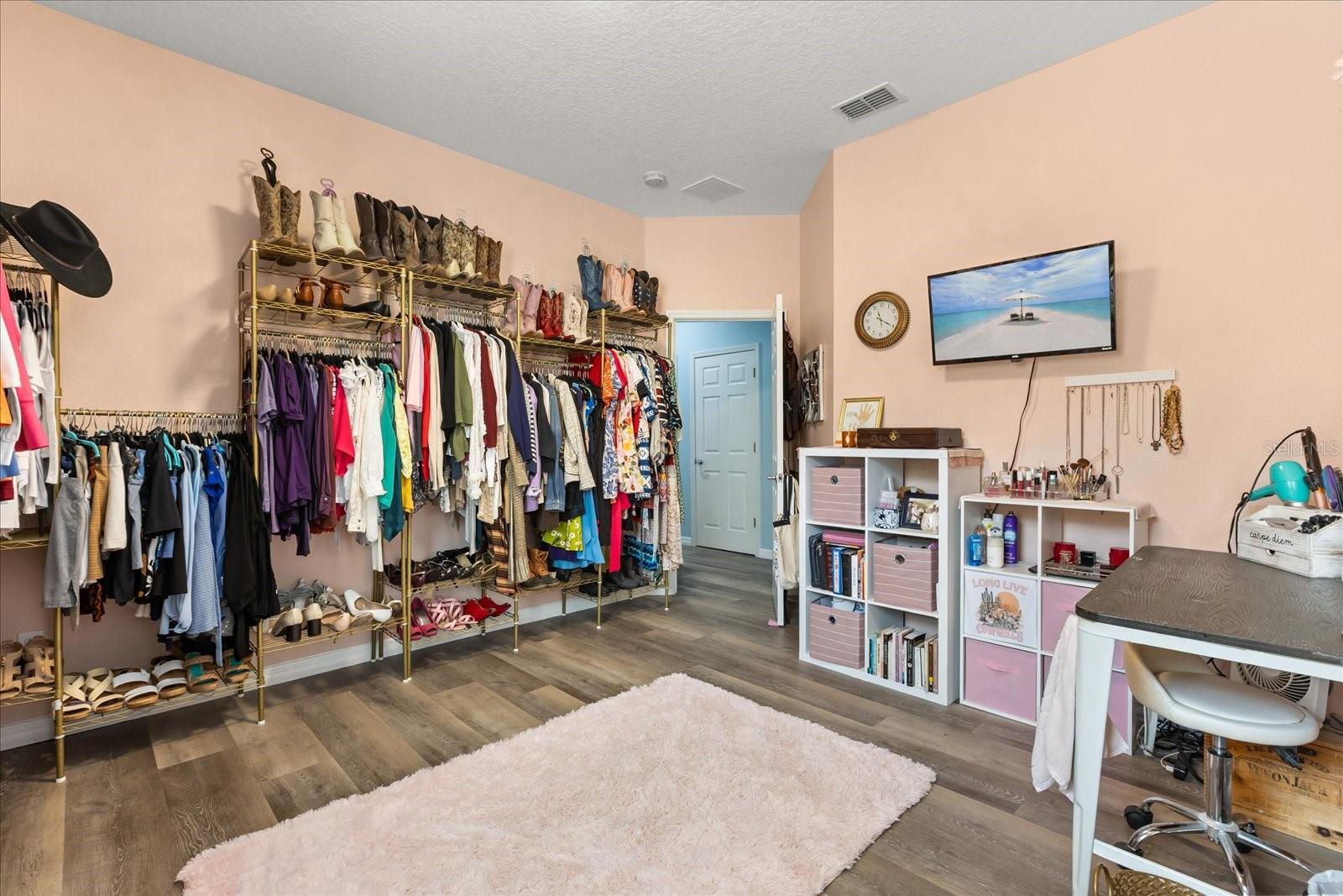 30231 HACKNEY LOOP, MOUNT DORA, FL, 32757