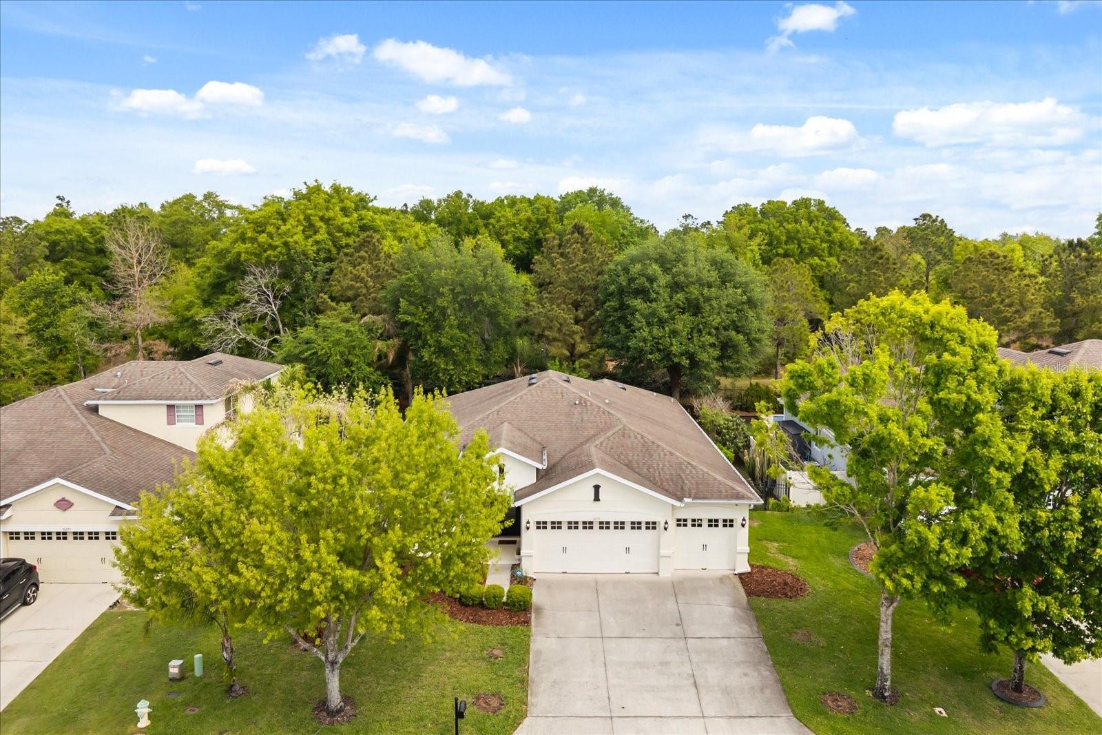 30231 HACKNEY LOOP, MOUNT DORA, FL, 32757