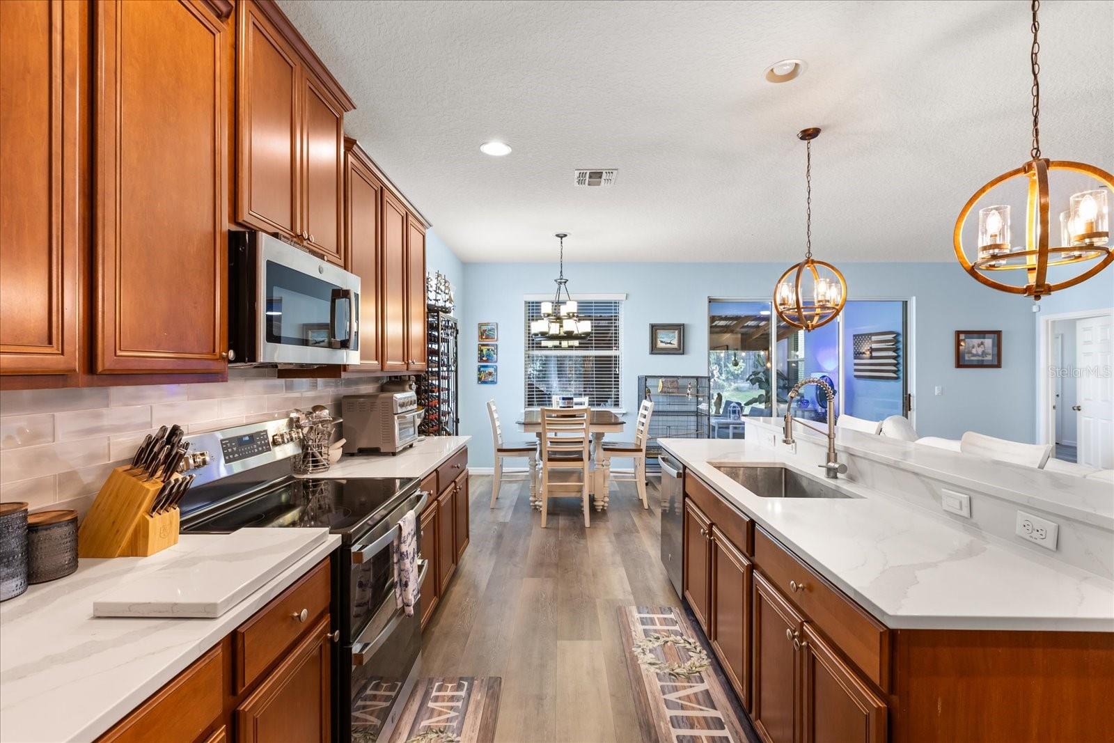 30231 HACKNEY LOOP, MOUNT DORA, FL, 32757