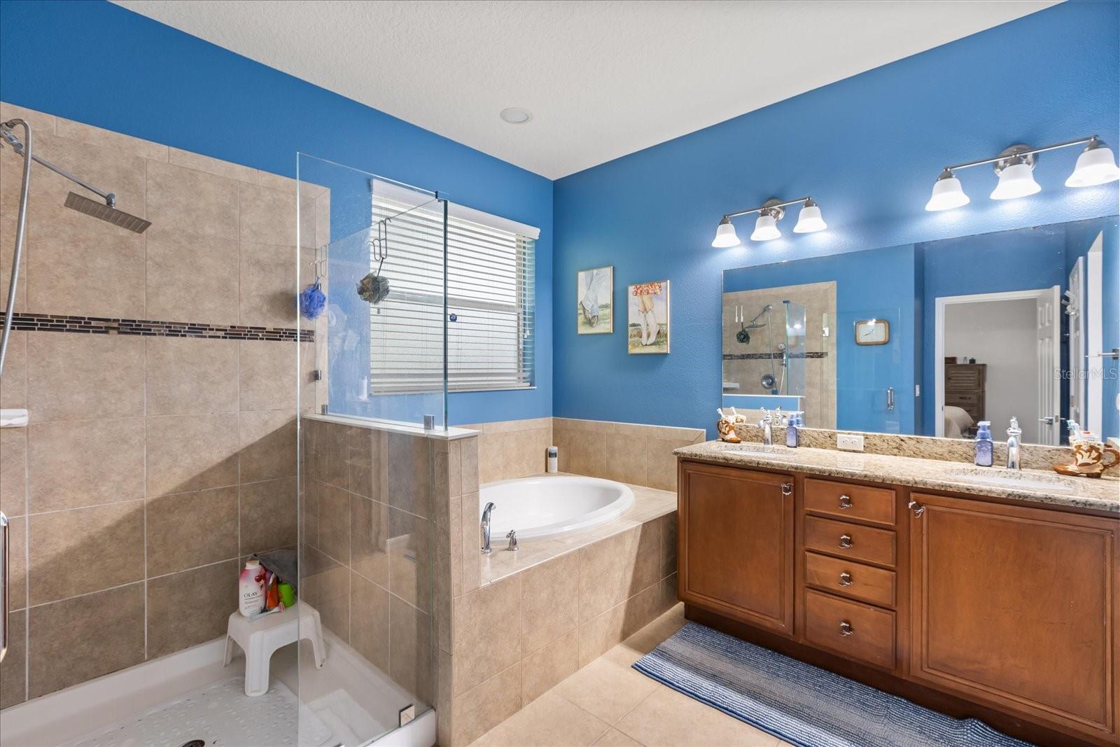 30231 HACKNEY LOOP, MOUNT DORA, FL, 32757