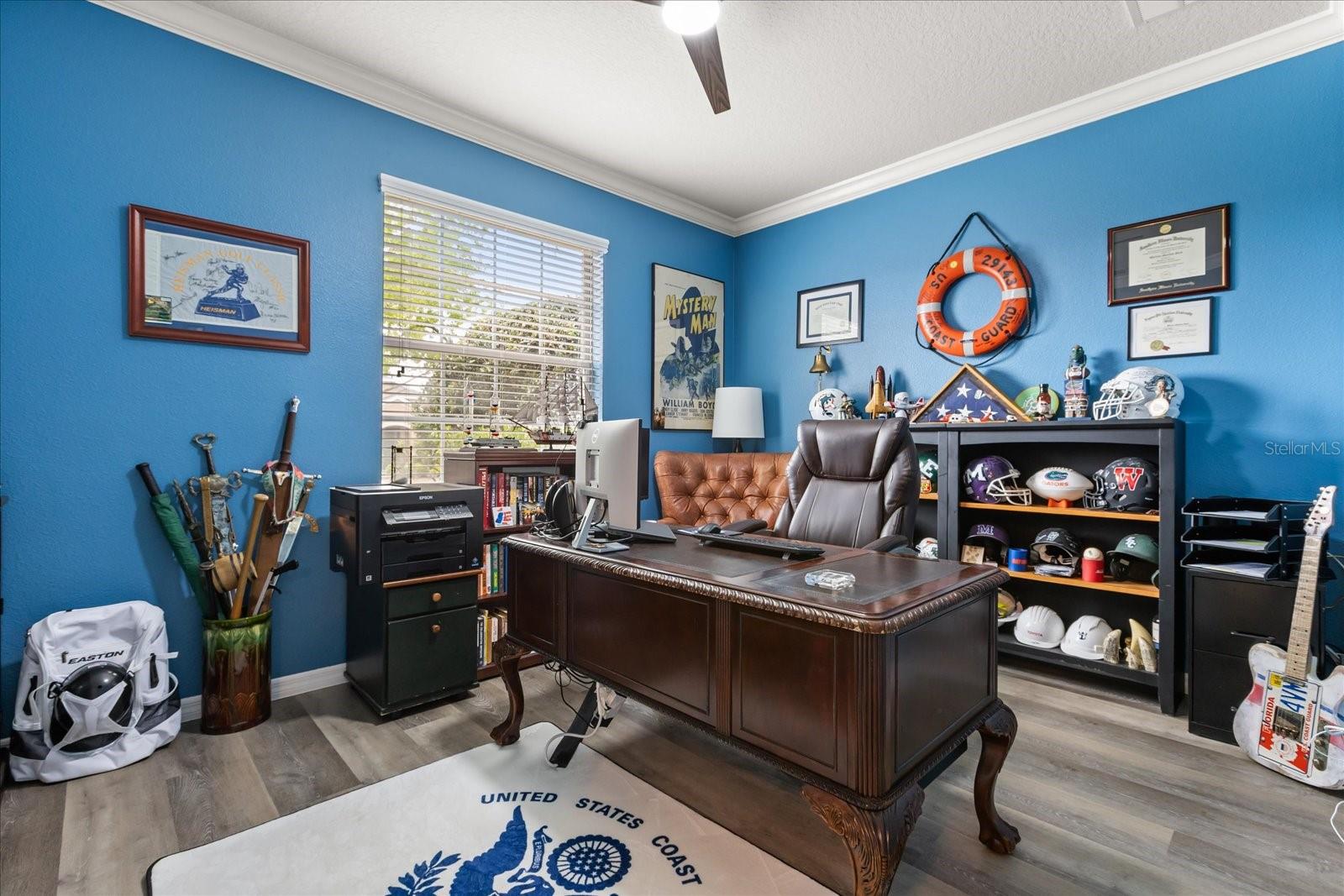 30231 HACKNEY LOOP, MOUNT DORA, FL, 32757