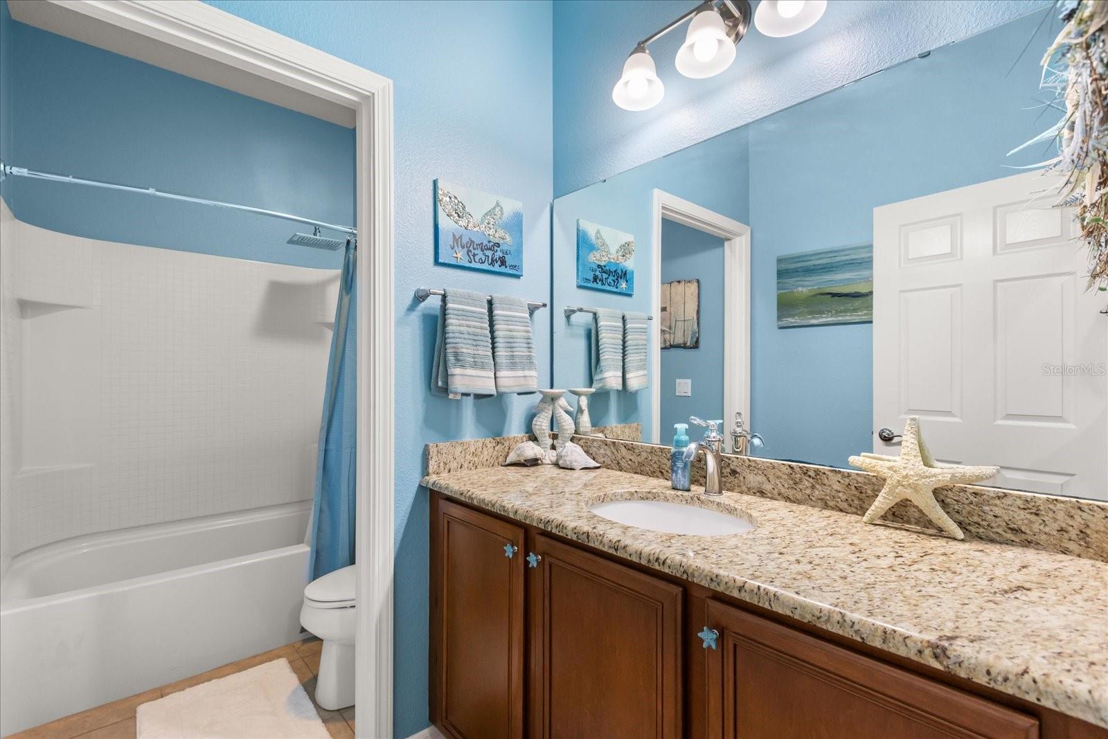 30231 HACKNEY LOOP, MOUNT DORA, FL, 32757