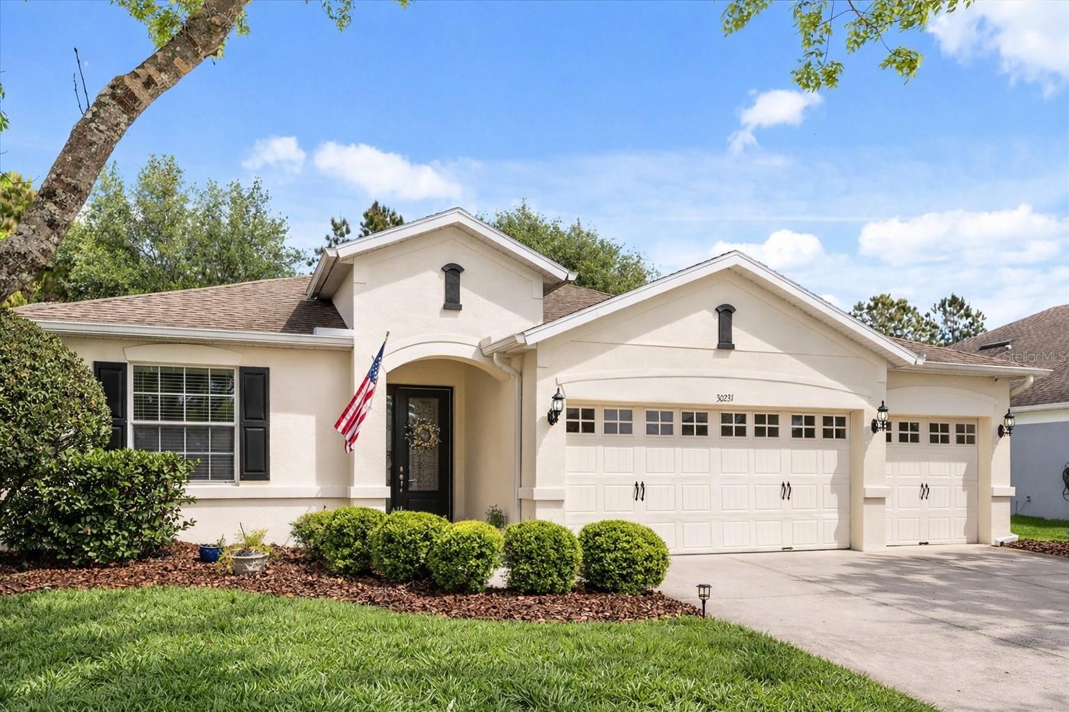 30231 HACKNEY LOOP, MOUNT DORA, FL, 32757