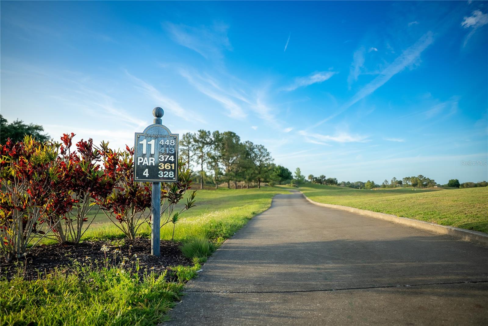 3399 SAGEBRUSH ST, HARMONY, FL, 34773