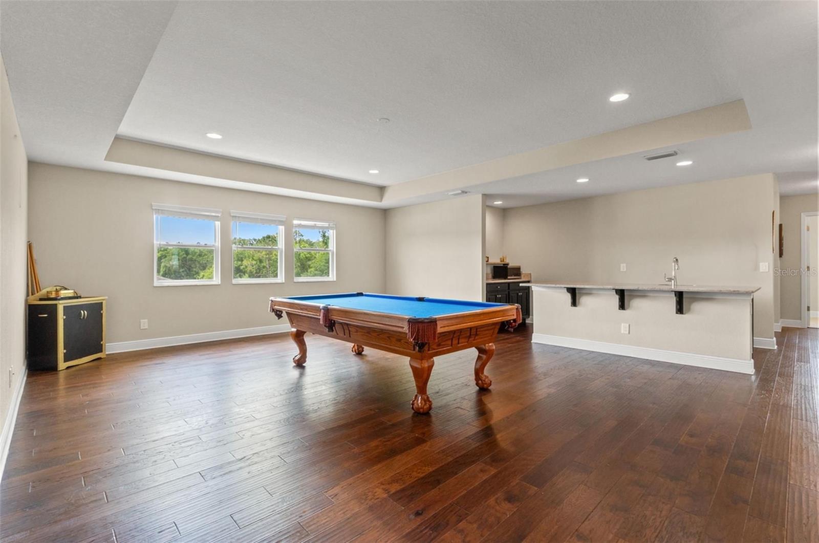 18696 MALINCHE LOOP, SPRING HILL, FL, 34610