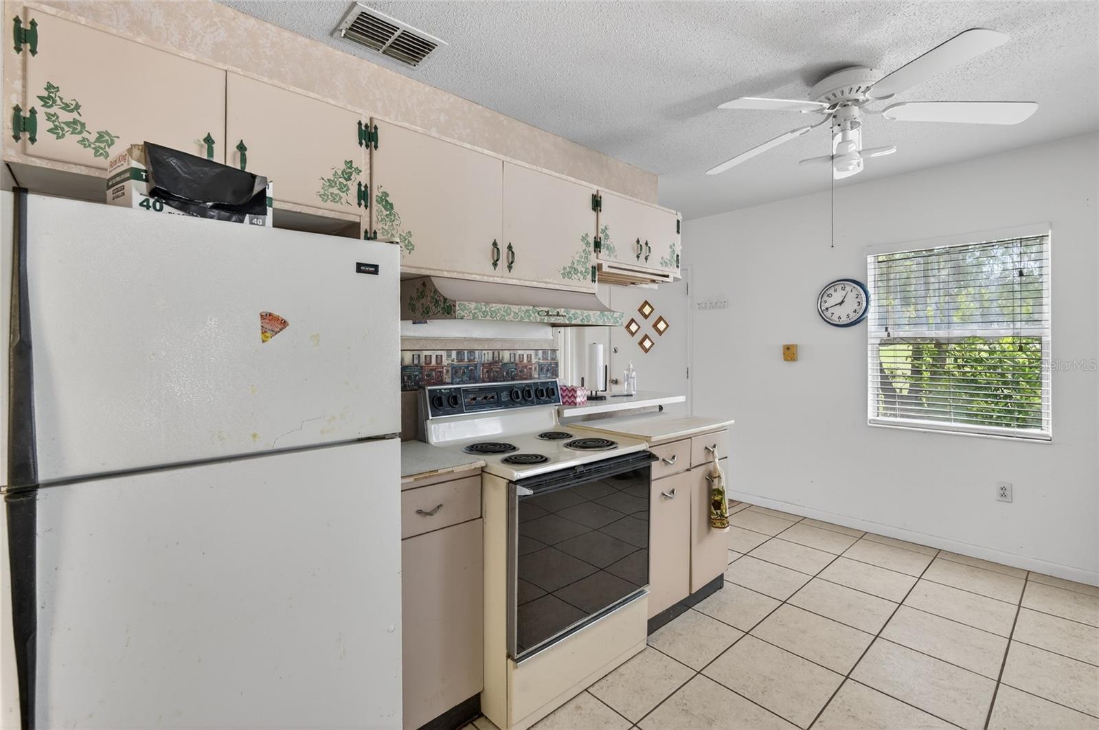 34618 S HAINES CREEK RD, LEESBURG, FL, 34788