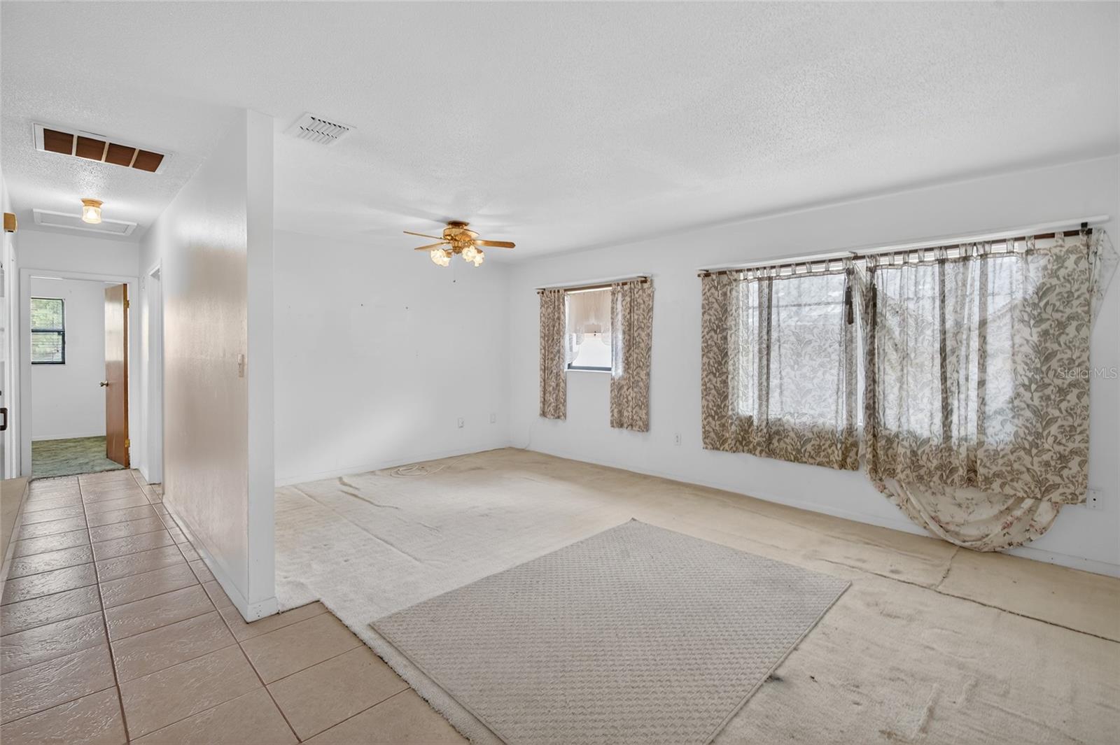 34618 S HAINES CREEK RD, LEESBURG, FL, 34788