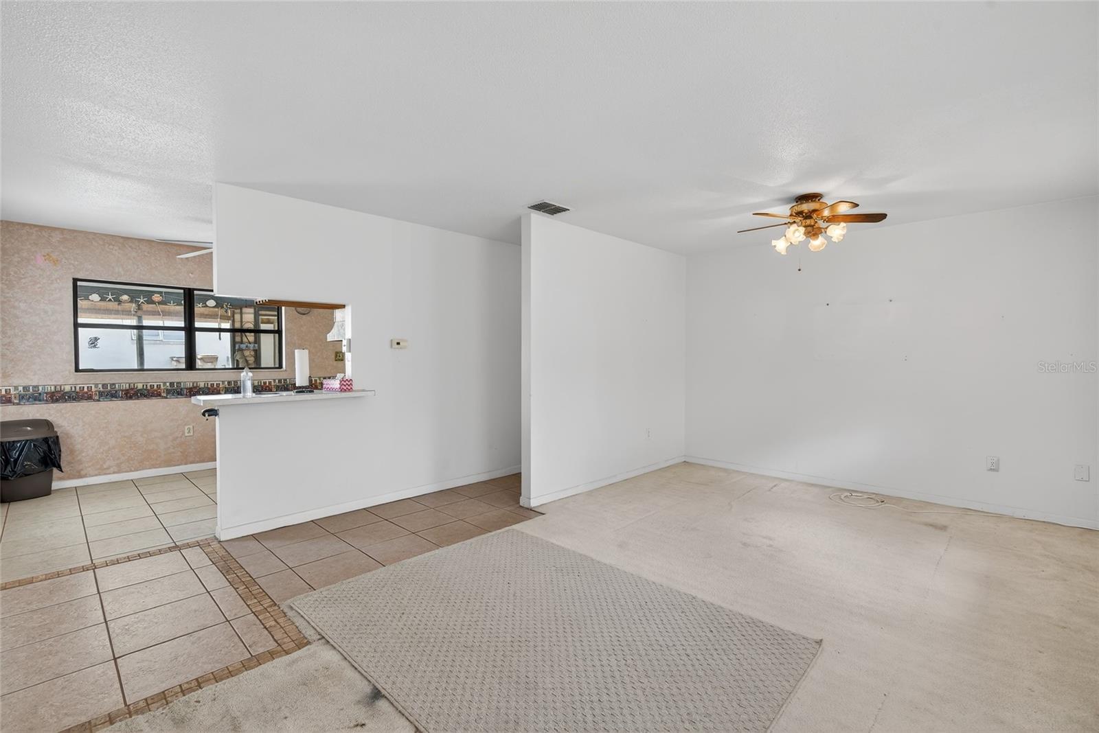 34618 S HAINES CREEK RD, LEESBURG, FL, 34788