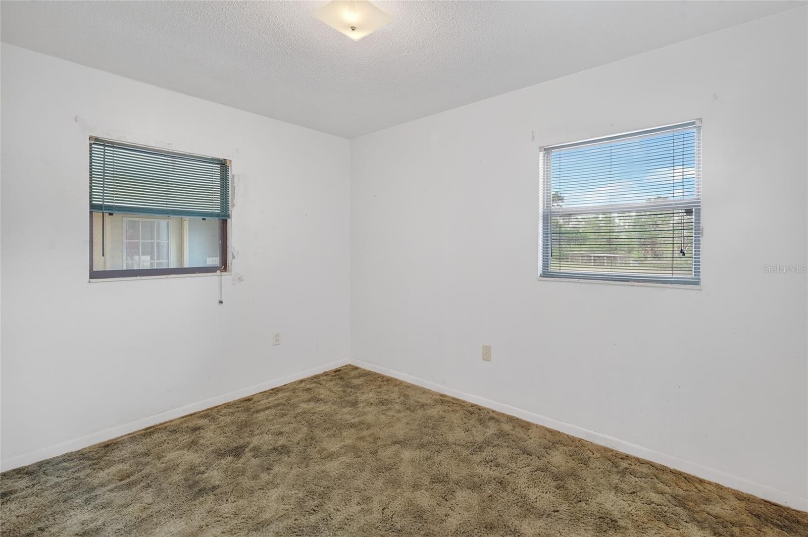 34618 S HAINES CREEK RD, LEESBURG, FL, 34788