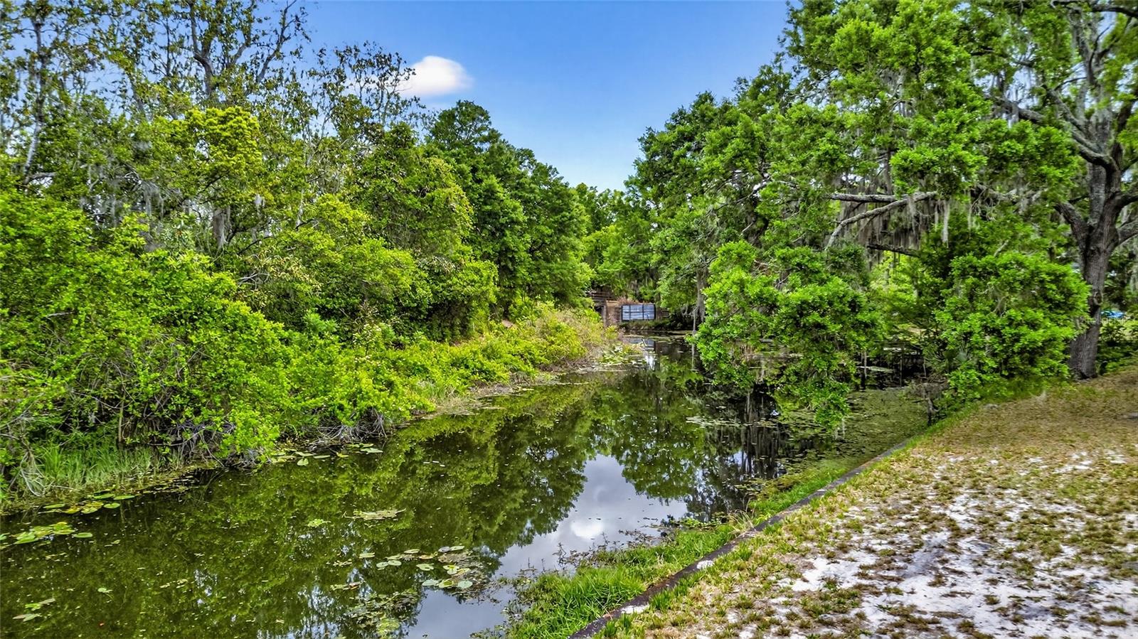 34618 S HAINES CREEK RD, LEESBURG, FL, 34788