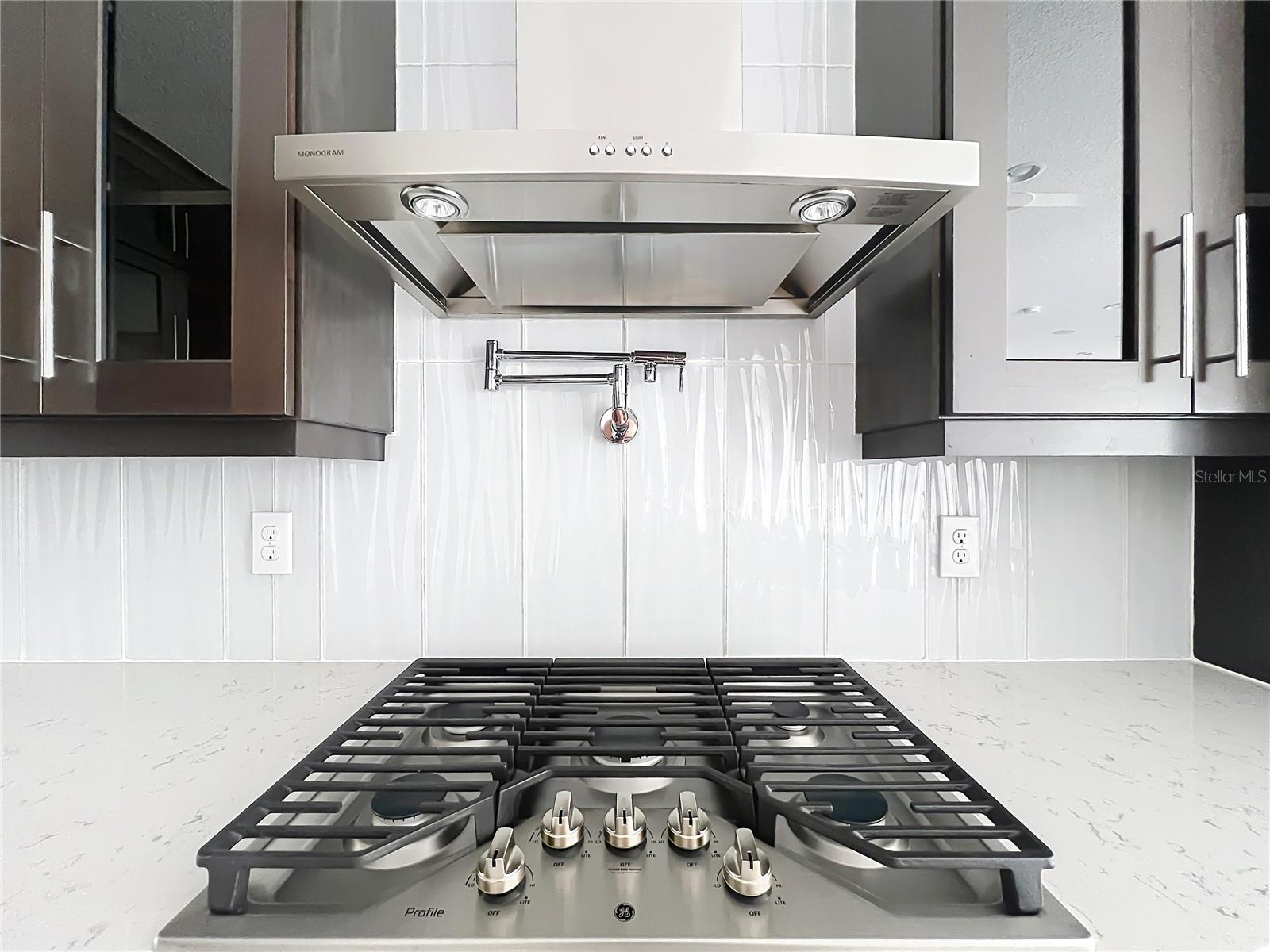 12025 ENCORE AT OVATION WAY, WINTER GARDEN, FL, 34787