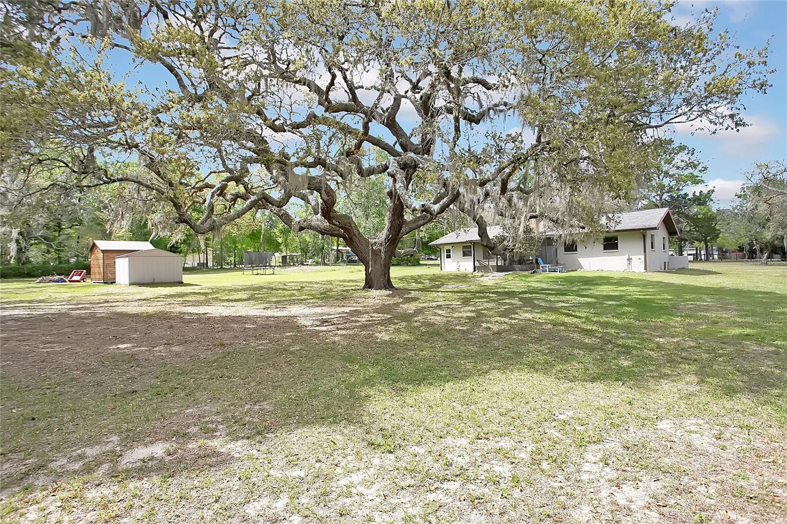 3116 E BUCK, INVERNESS, FL, 34452