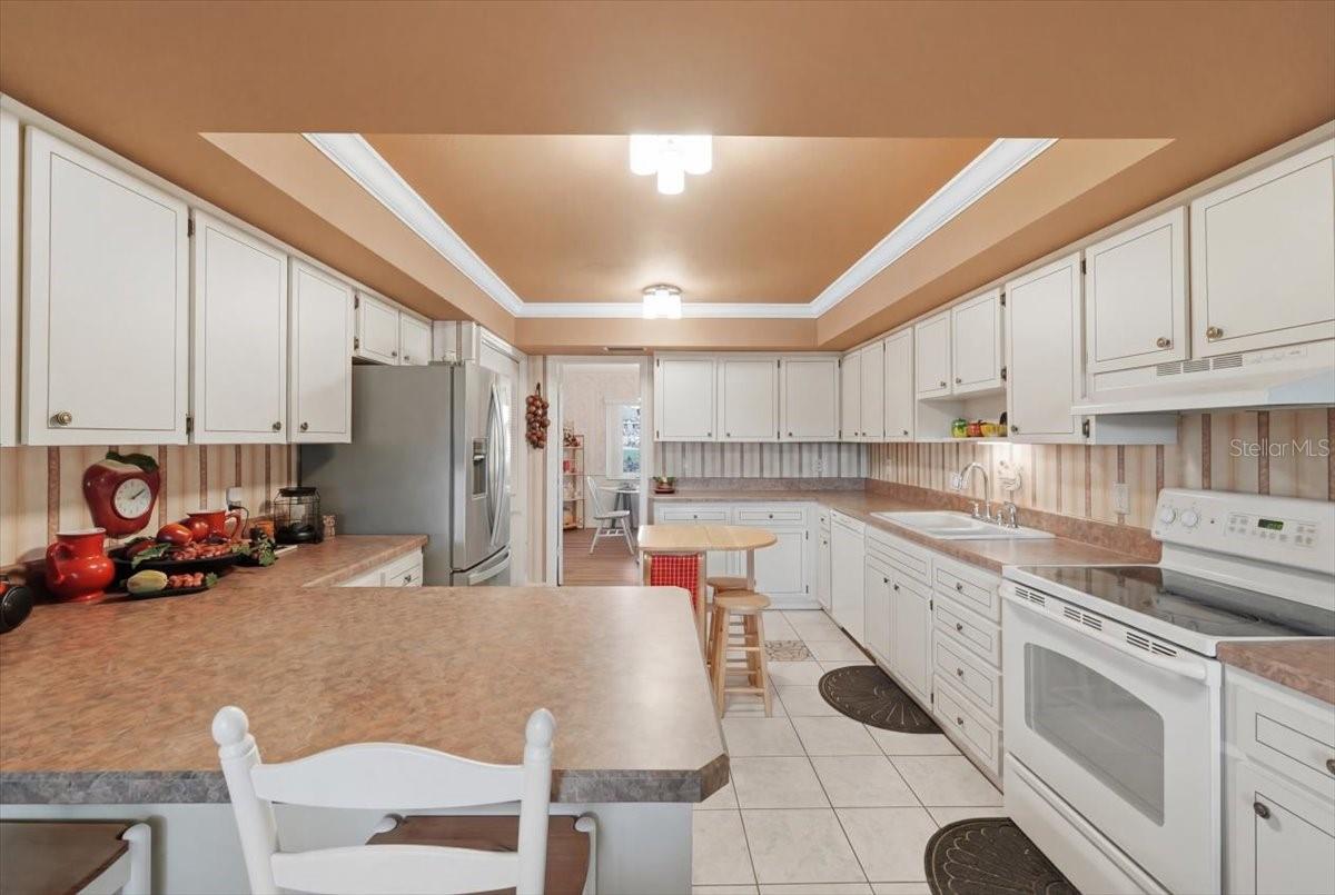 236 W LAKE INA DR, WINTER HAVEN, FL, 33884