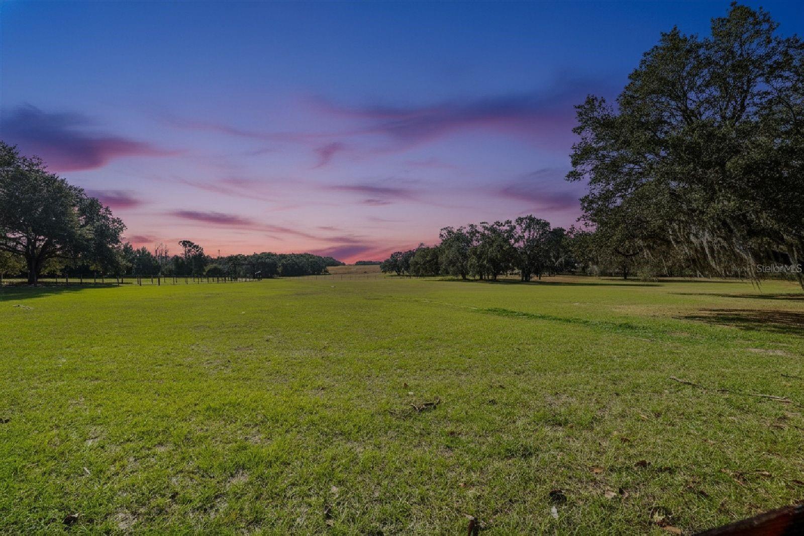 36203 MICRO RACETRACK RD, FRUITLAND PARK, FL, 34731