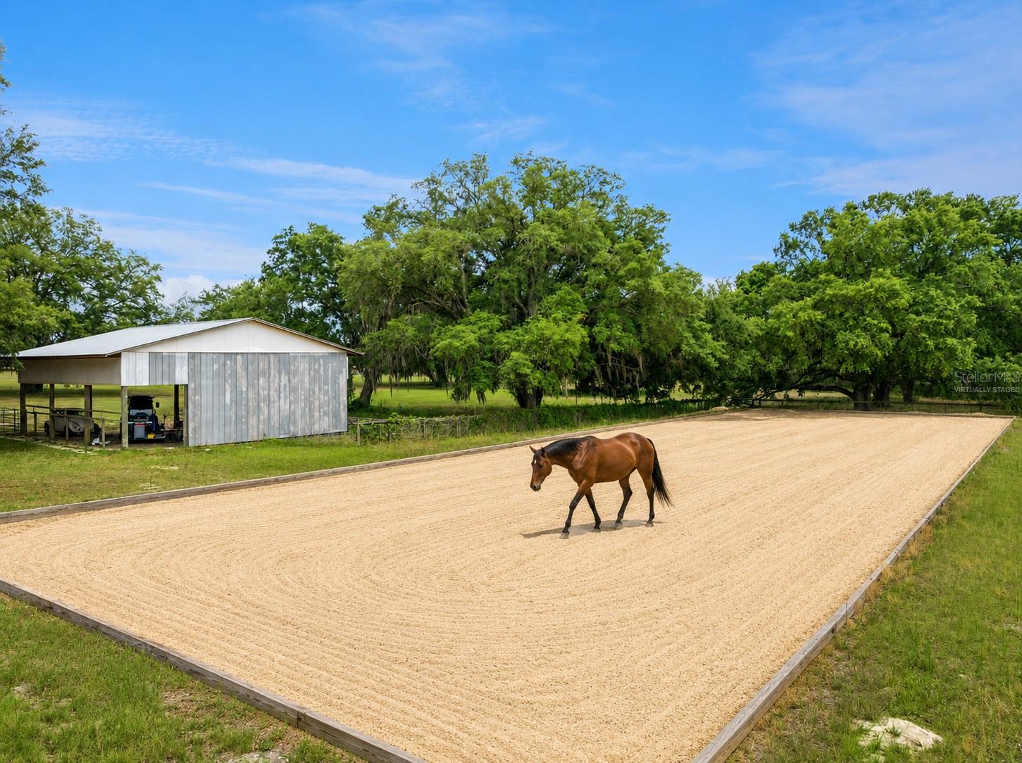 36203 MICRO RACETRACK RD, FRUITLAND PARK, FL, 34731